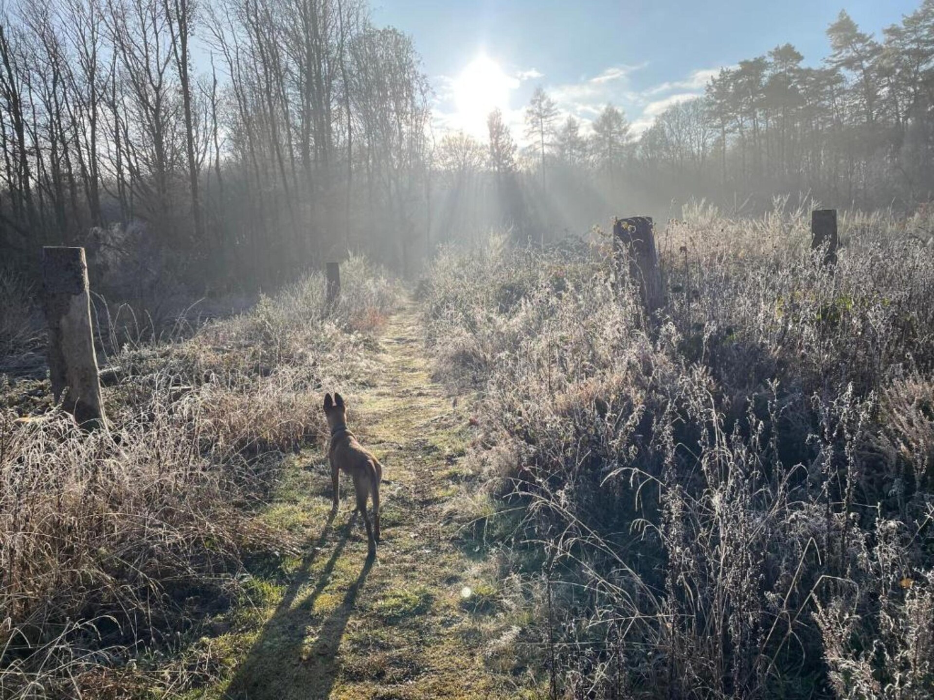 Rustiek Appartement op de Boerderij met Alpaca's in Pracht - foto 34