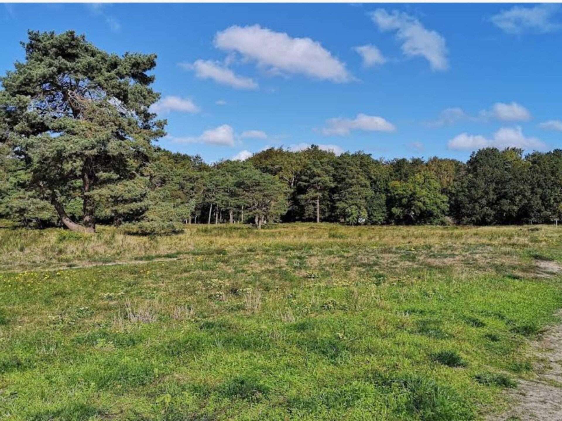 Vrijstaand vakantiehuis bij zee in Rørvig, 700m van strand - foto 3