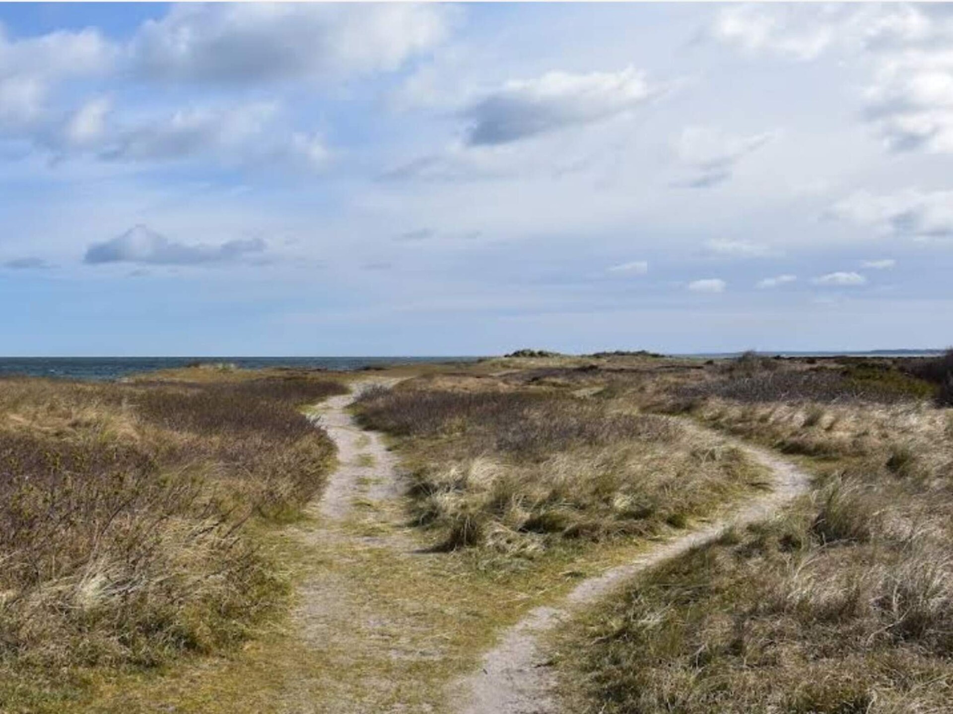 Vrijstaand vakantiehuis bij zee in Rørvig, 700m van strand - foto 8