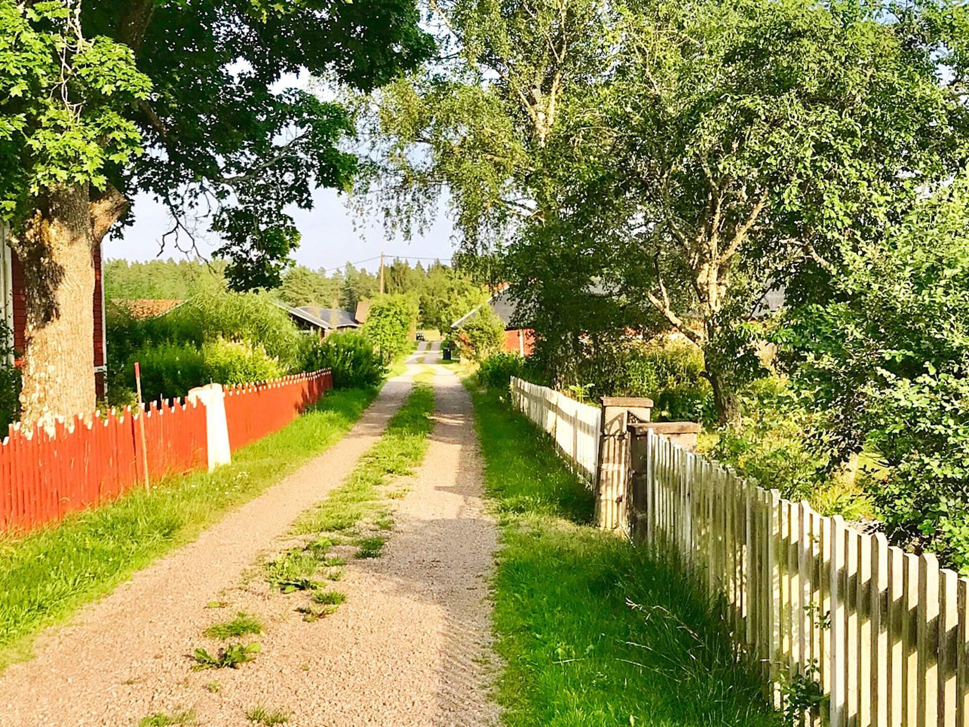 Ruim vakantiehuis bij Vimmerby met uitzicht en nabij elandpark - foto 22