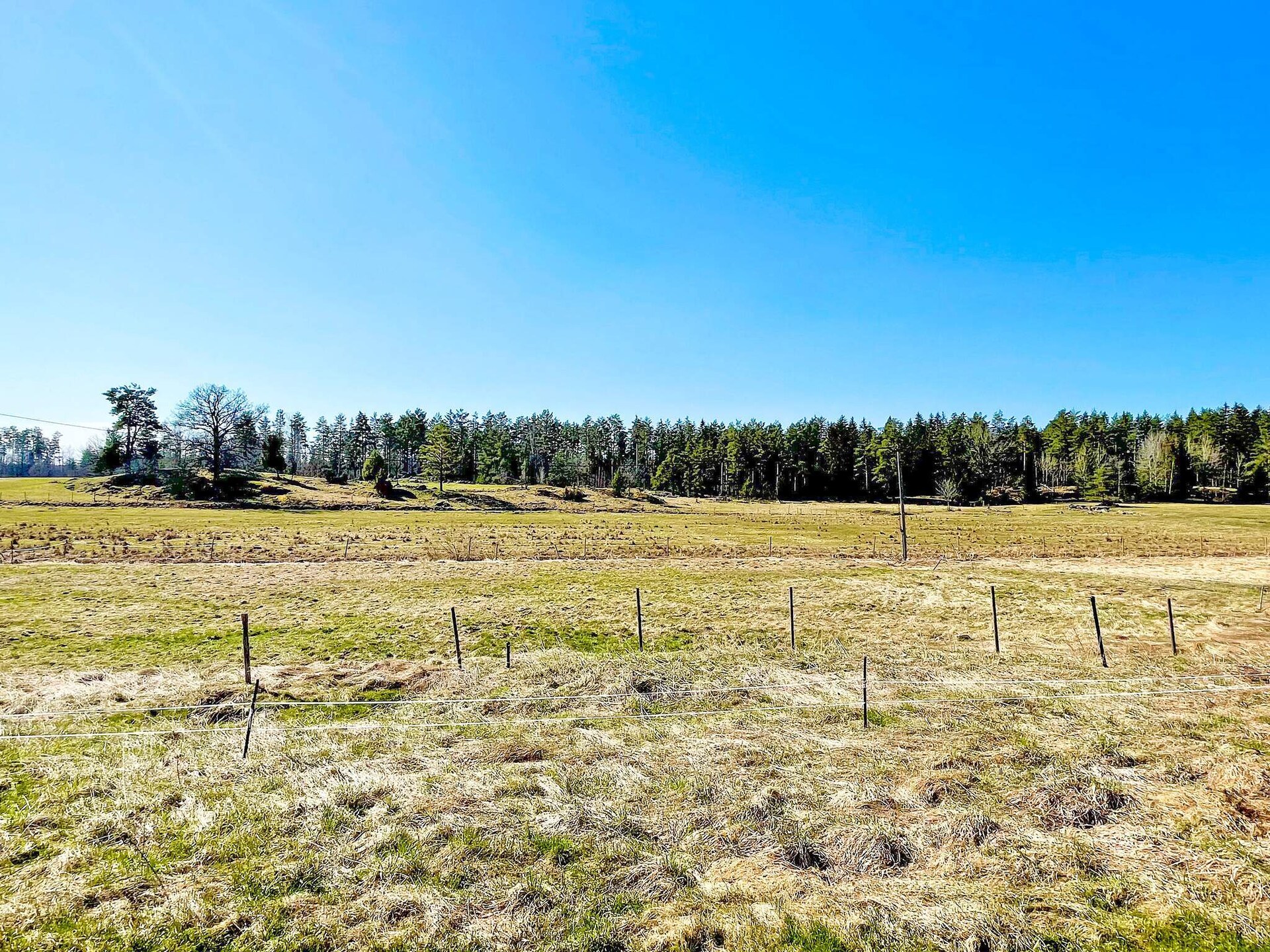 Ruim vakantiehuis bij Vimmerby met uitzicht en nabij elandpark - foto 25