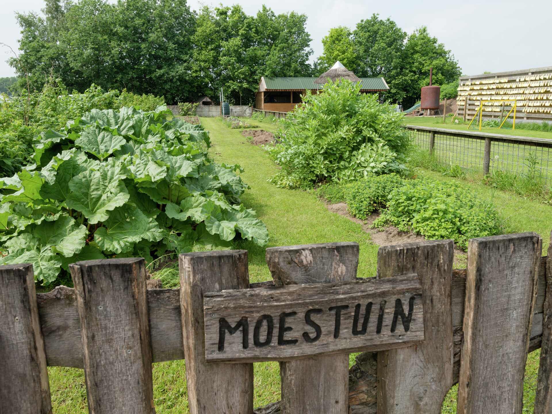 Koe in de Kost 4: Designbungalow met groen dak in het Sallandse landschap - foto 22