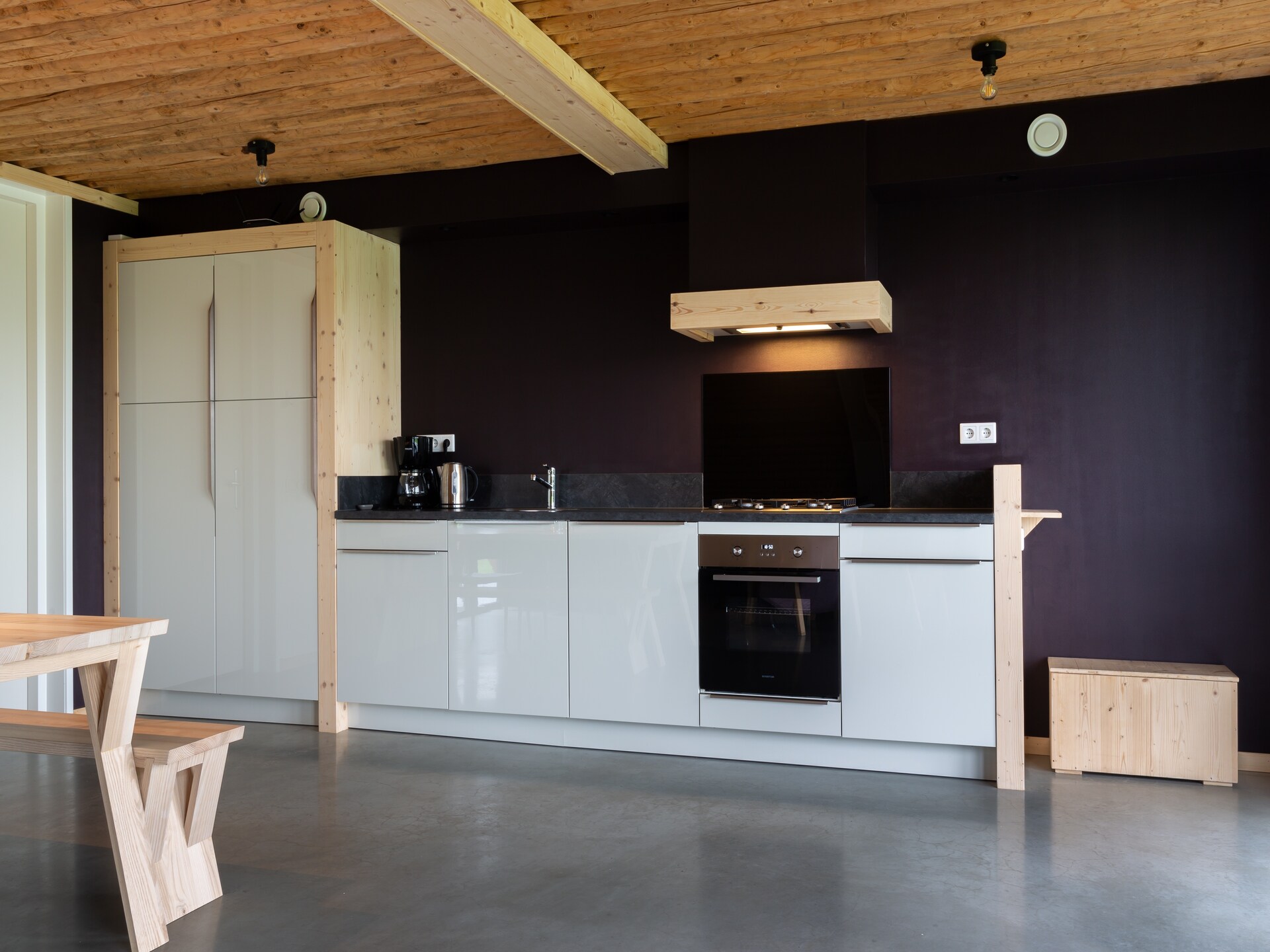Koe in de Kost 4: Designbungalow met groen dak in het Sallandse landschap - foto 15