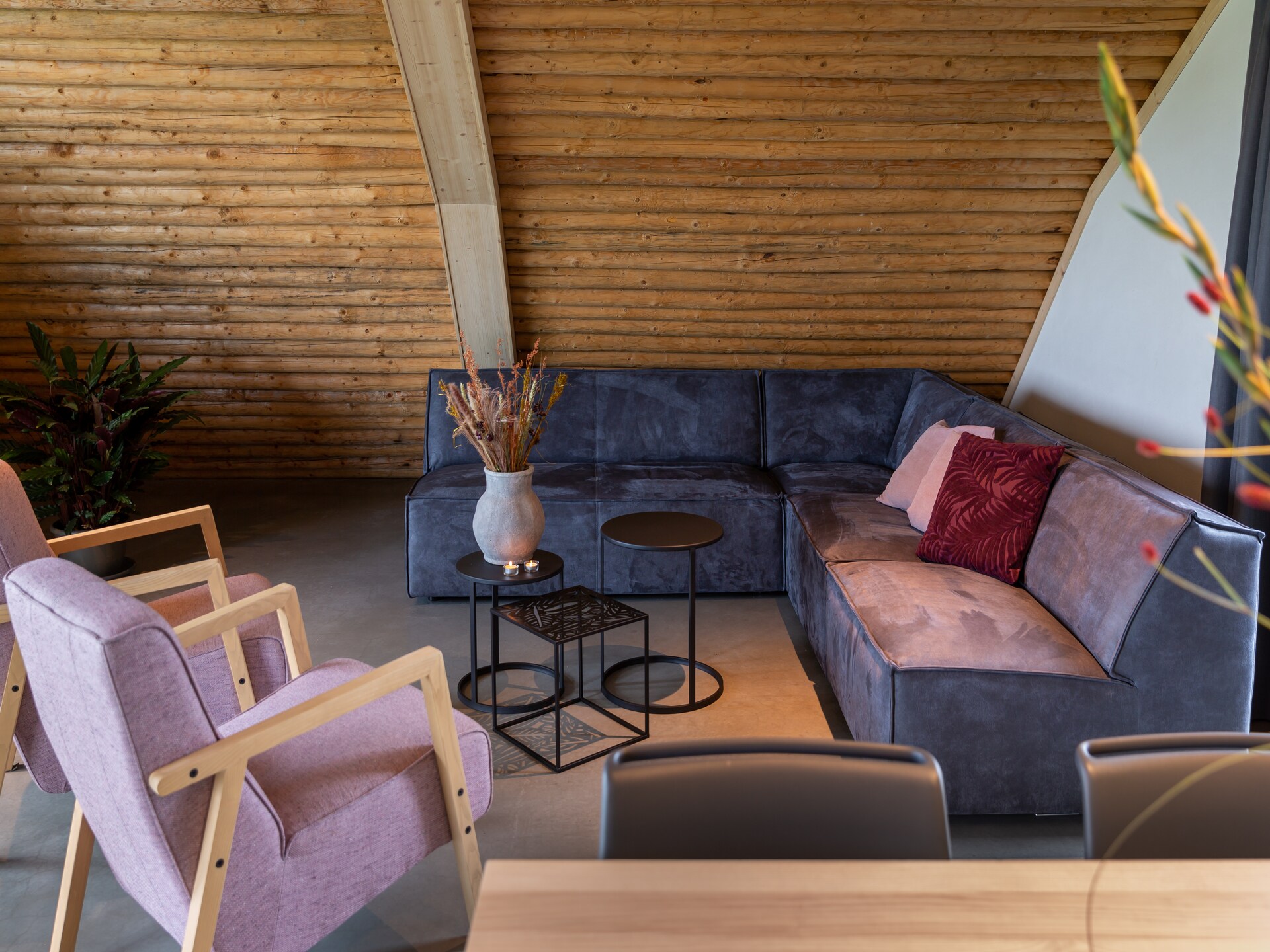 Koe in de Kost 4: Designbungalow met groen dak in het Sallandse landschap - foto 2