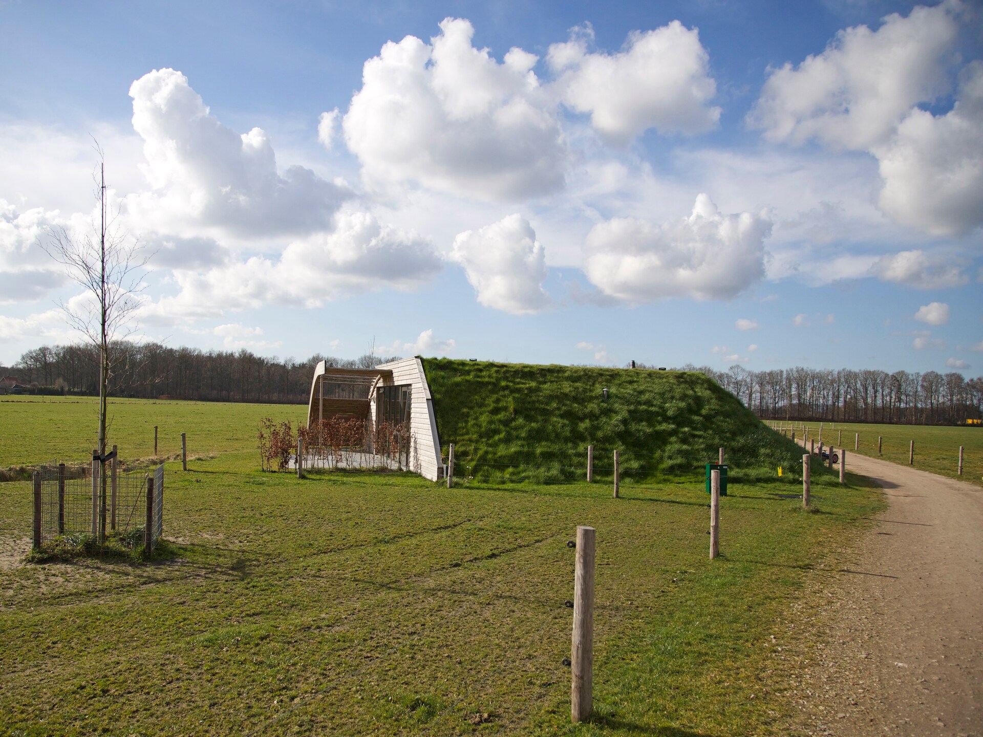 Koe in de Kost 4: Designbungalow met groen dak in het Sallandse landschap - foto 9