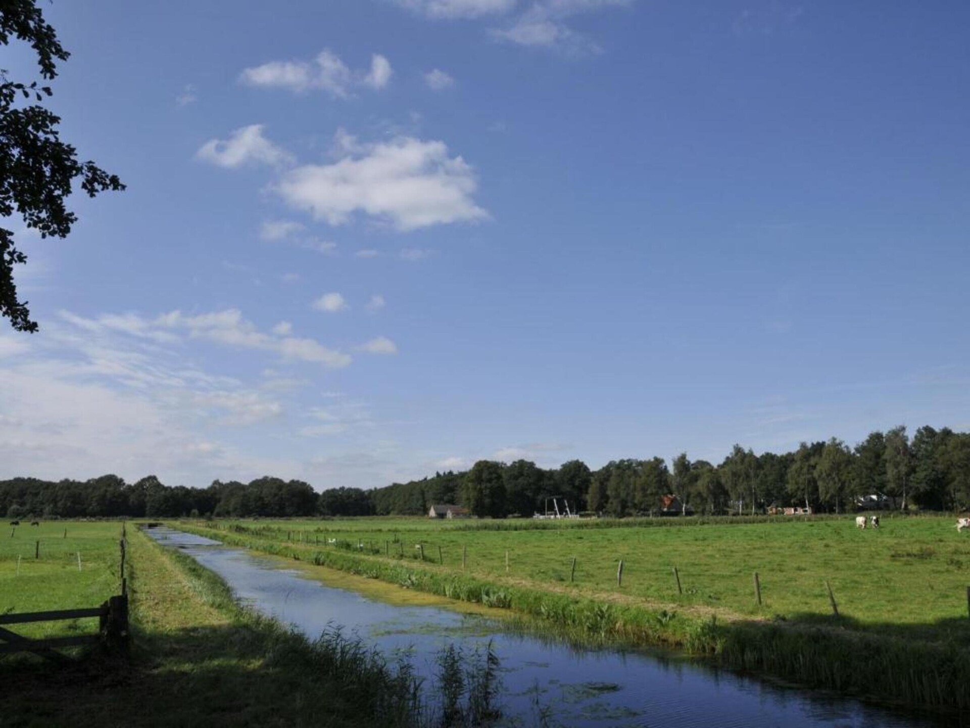 Koe in de Kost 4: Designbungalow met groen dak in het Sallandse landschap - foto 31