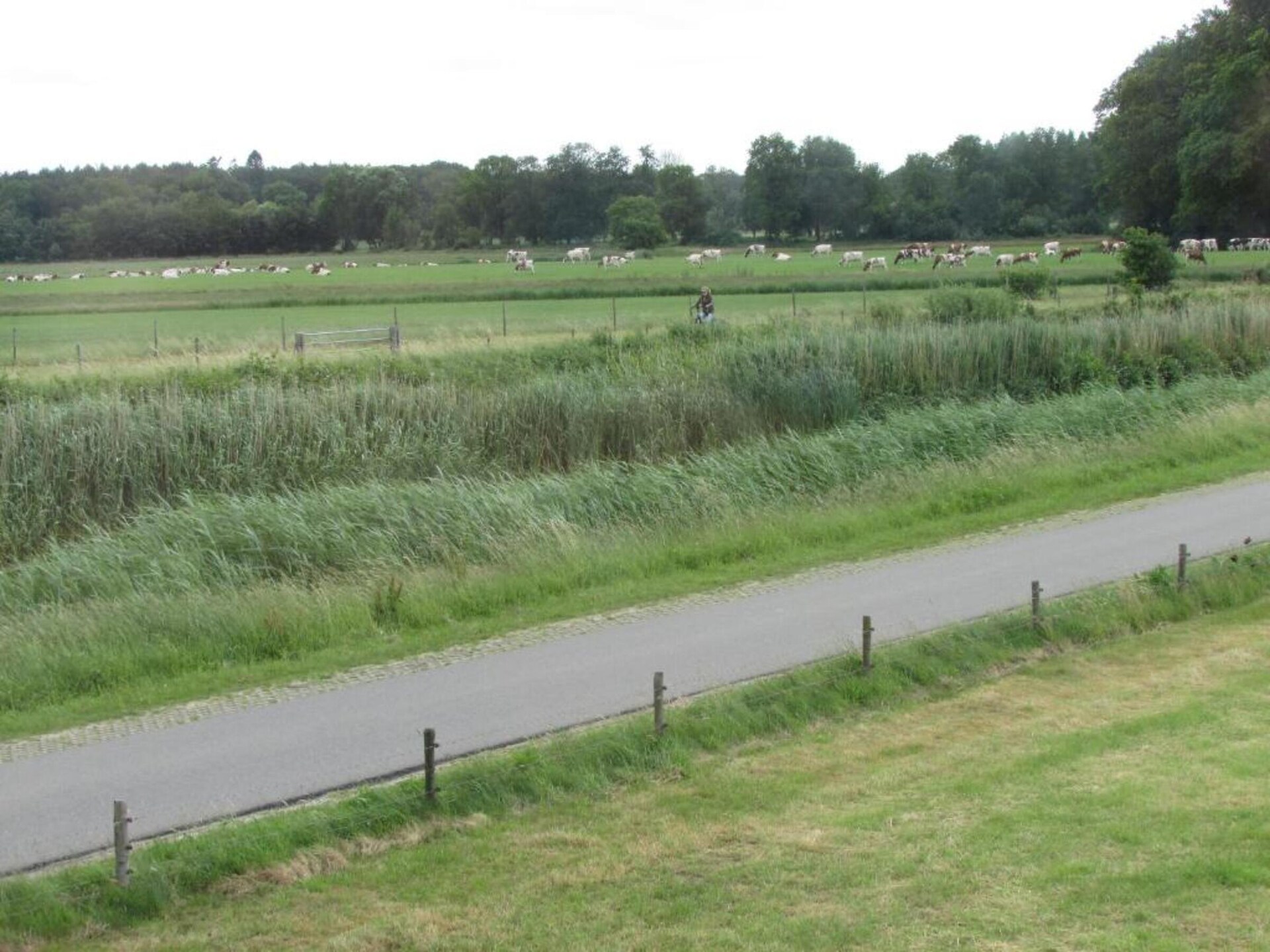 Koe in de Kost 4: Designbungalow met groen dak in het Sallandse landschap - foto 34