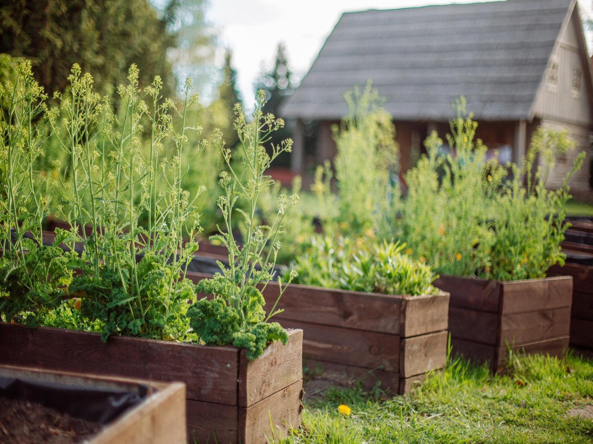 Sfeervol vakantiehuis met zwembad en grote tuin in Bełczna, West-Pommeren - foto 26