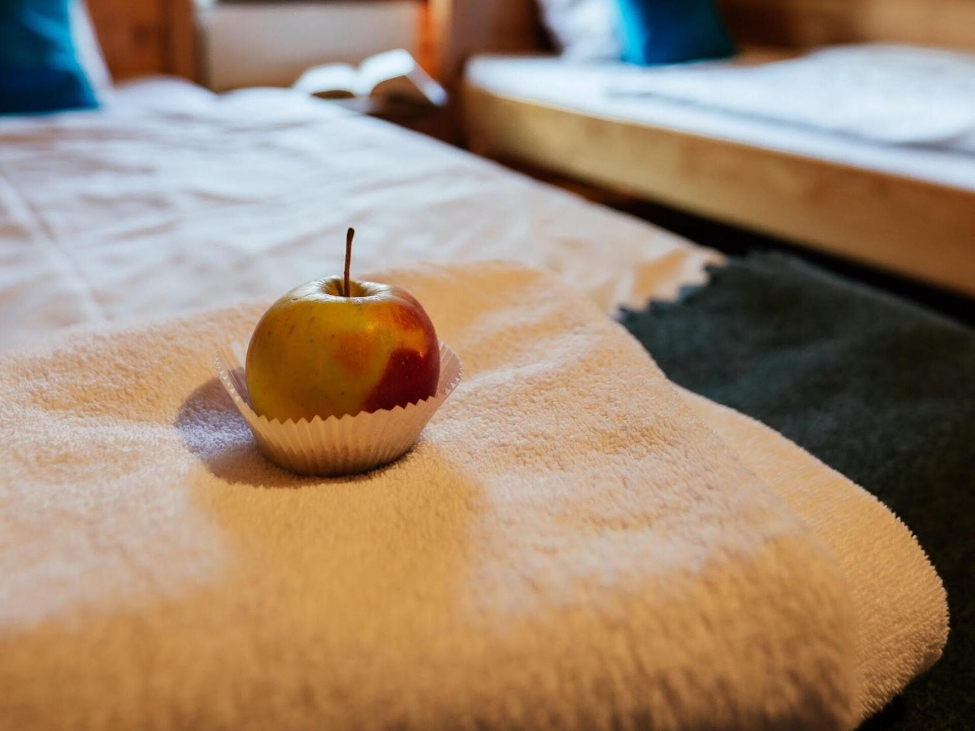 Sfeervol vakantiehuis met zwembad en grote tuin in Bełczna, West-Pommeren - foto 15