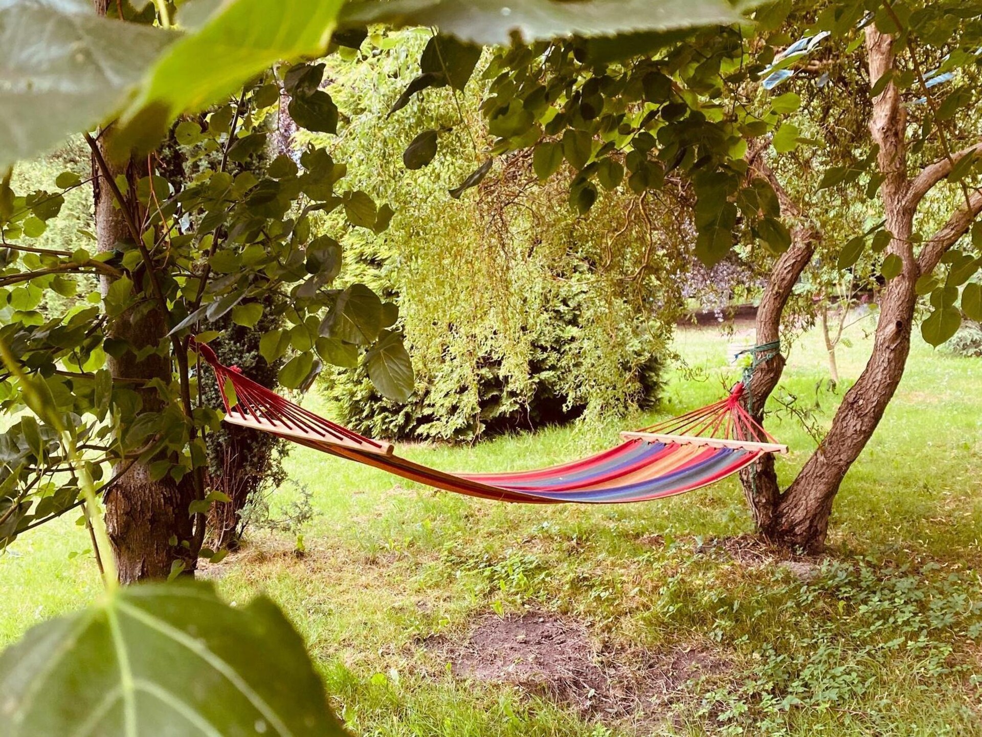 Sfeervol vakantiehuis met zwembad en grote tuin in Bełczna, West-Pommeren - foto 20