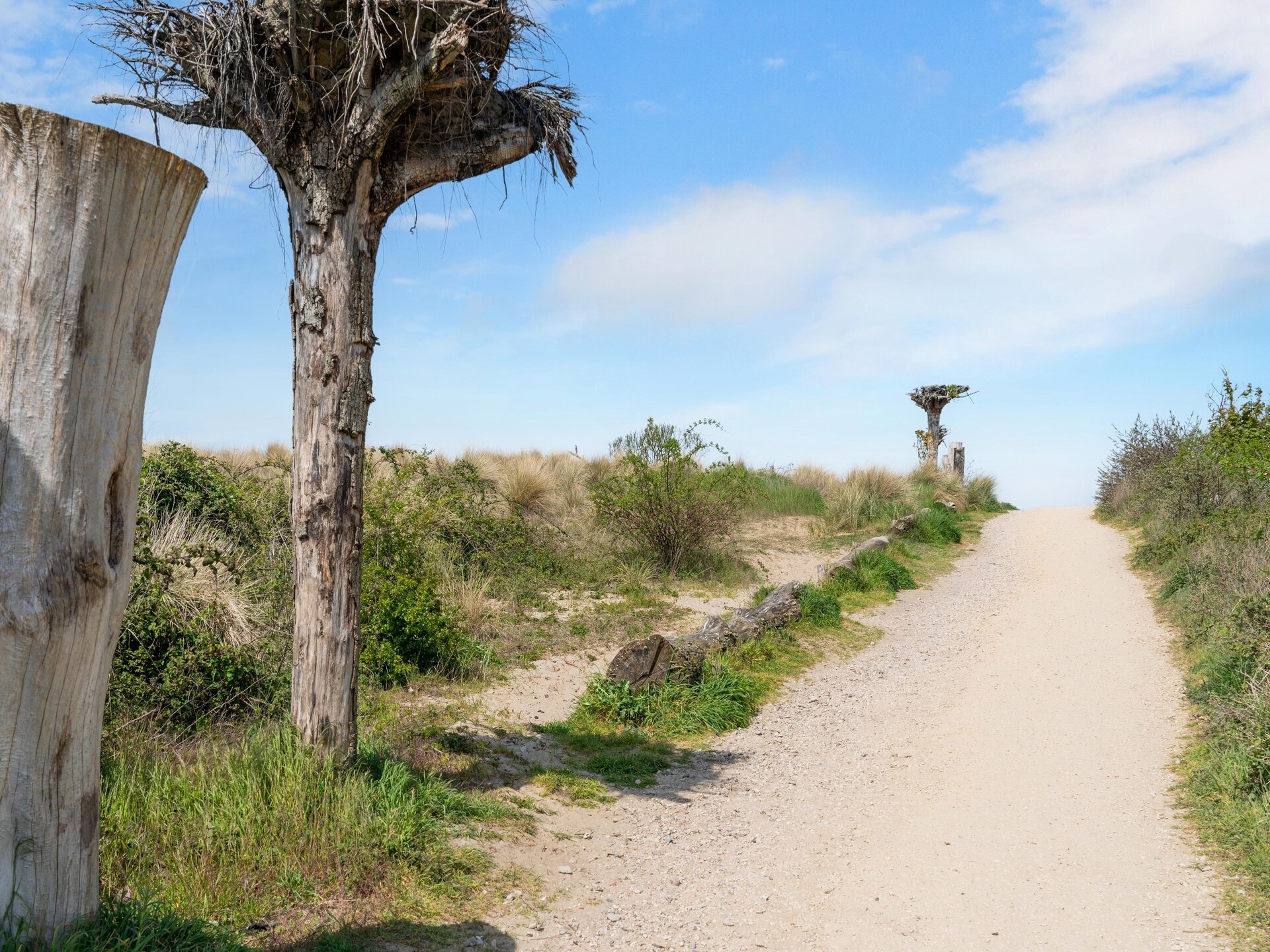 Luxe boshuis Fantail: ontspan in alle vrijheid op Goeree-Overflakkee - foto 30