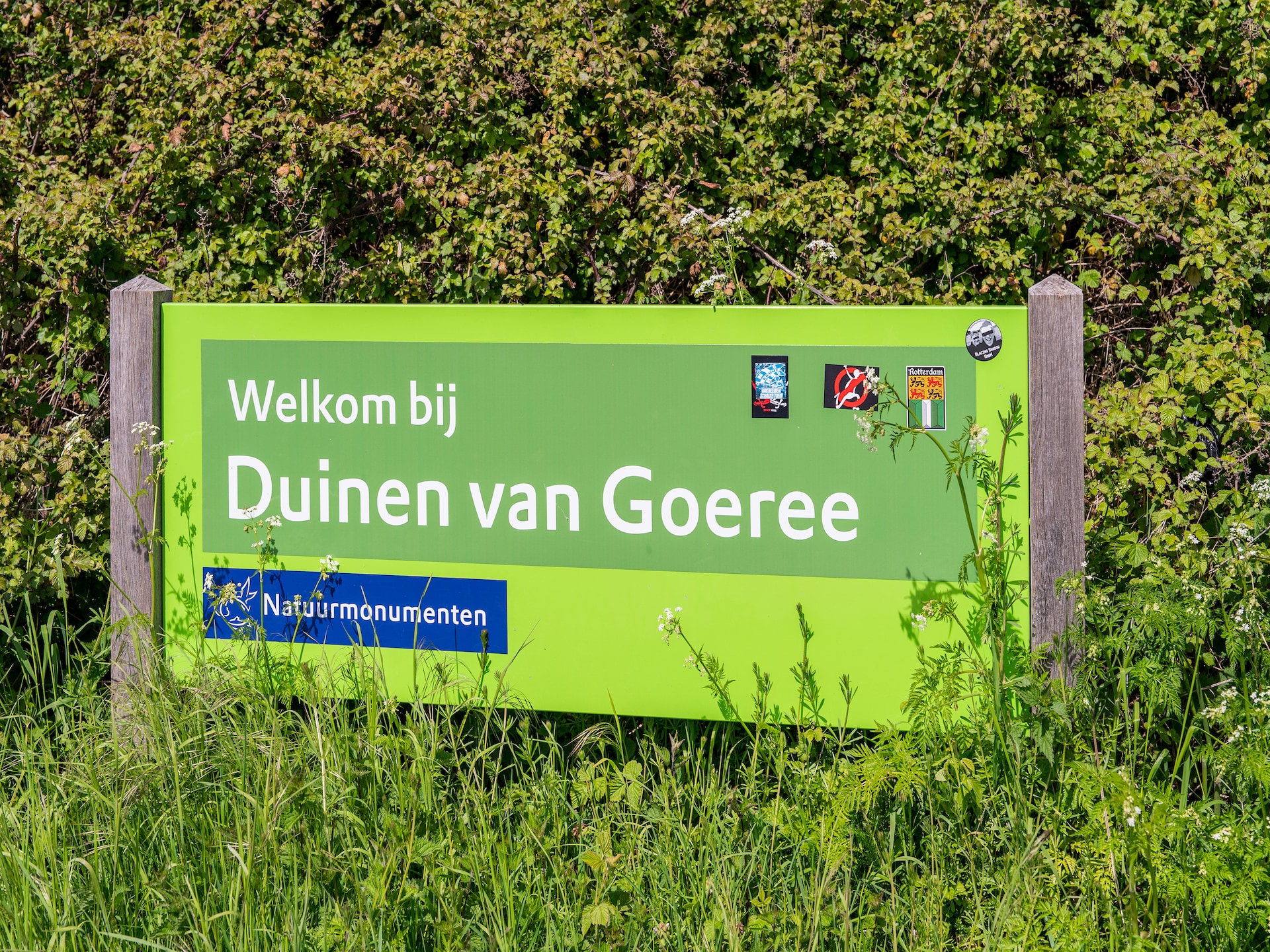 Luxe boshuis Fantail: ontspan in alle vrijheid op Goeree-Overflakkee - foto 28