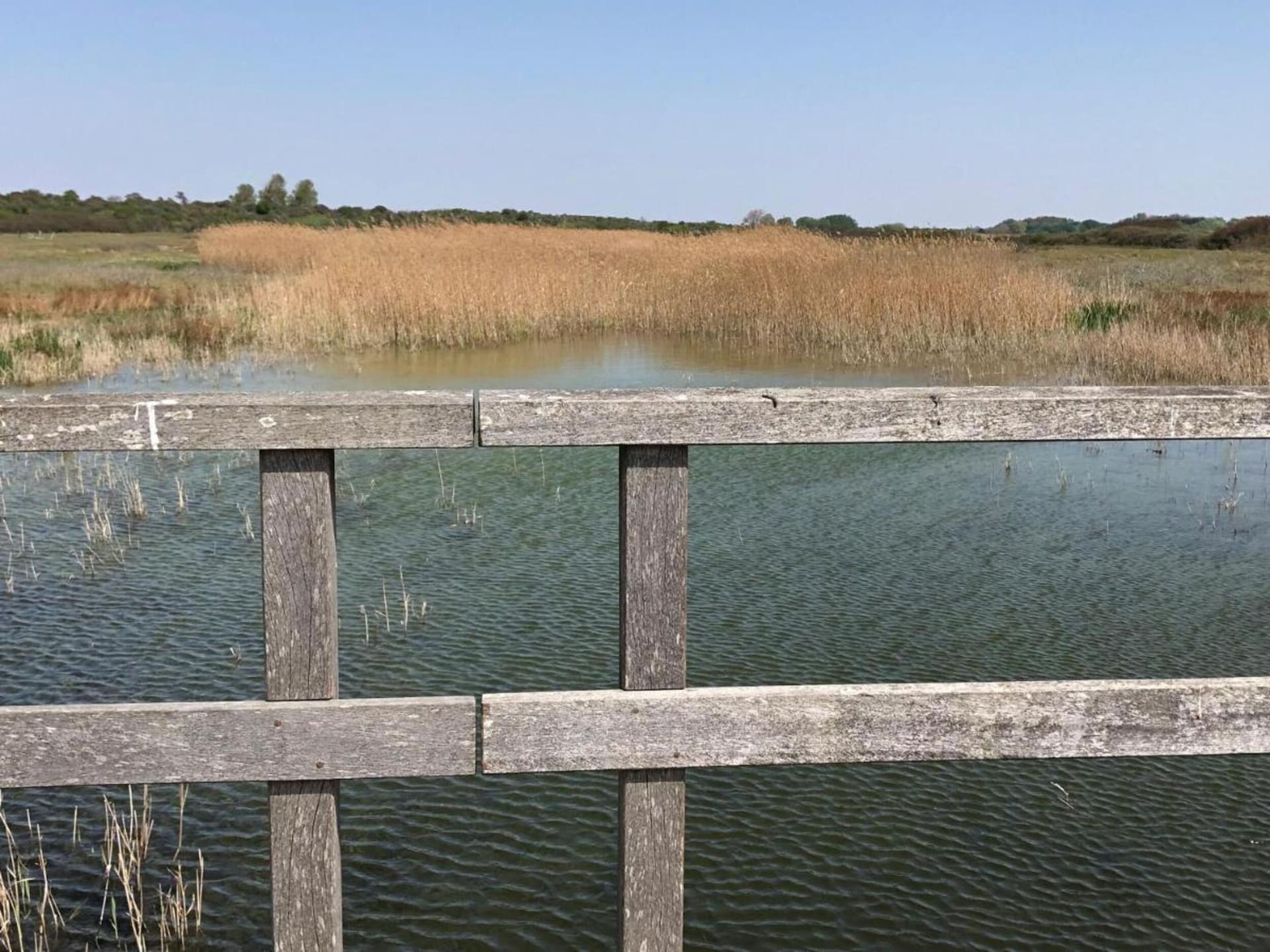 Luxe boshuis Fantail: ontspan in alle vrijheid op Goeree-Overflakkee - foto 39