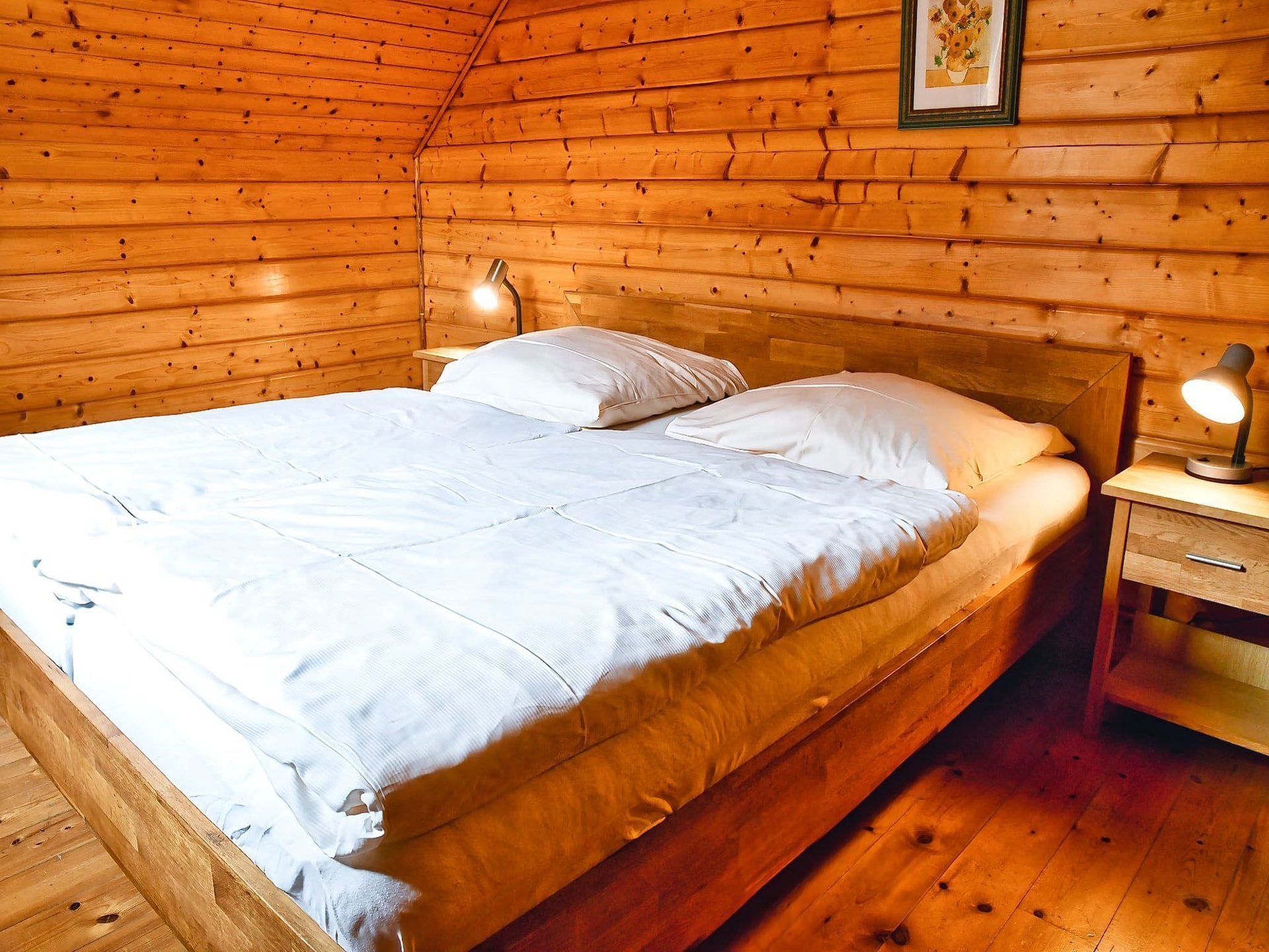 4-persoons vakantiehuis aan de piste in Hasselfelde (3) - foto 13