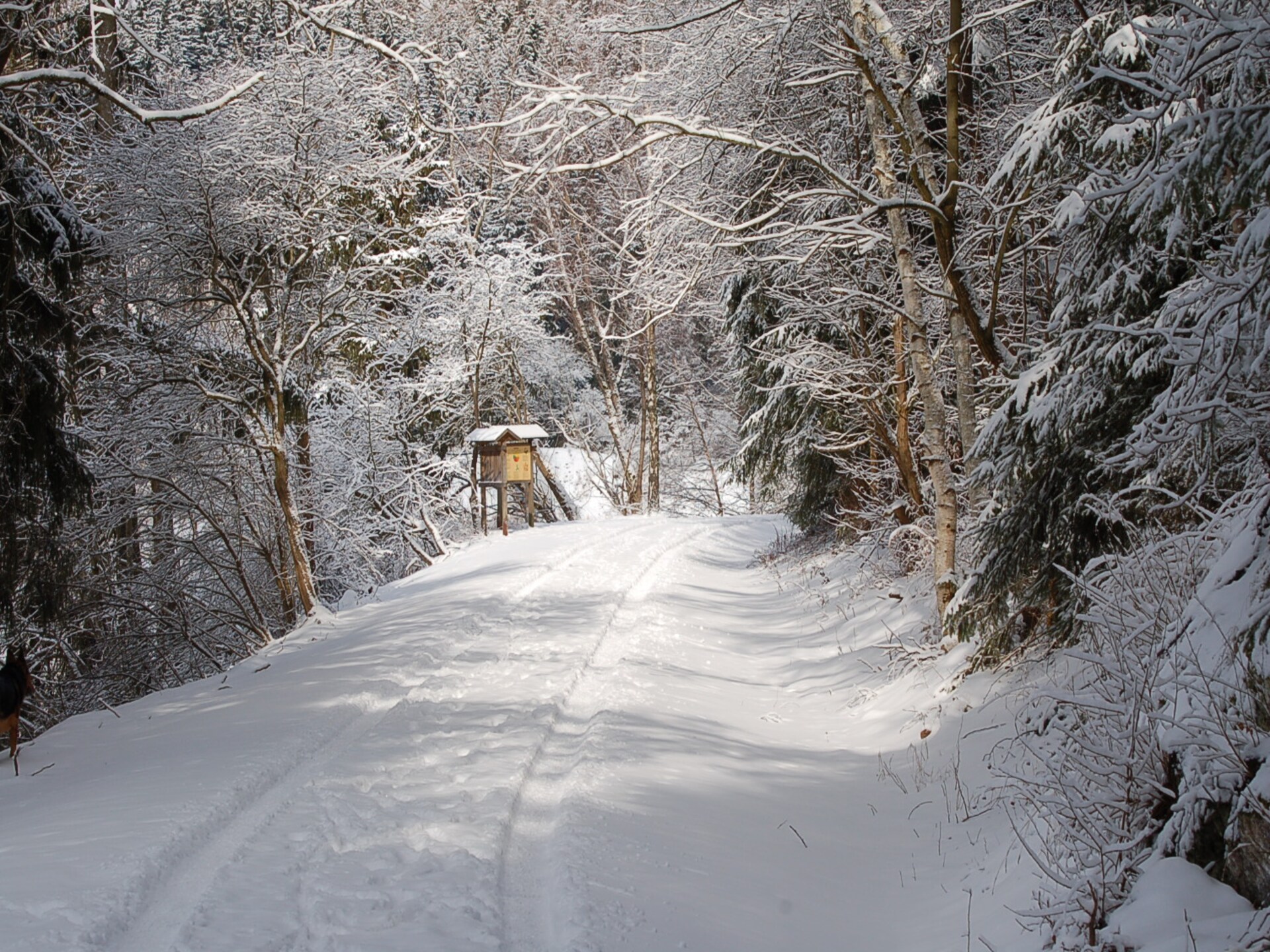 5-persoons vakantiehuis aan de piste in Hasselfelde · 5 pers. - foto 30