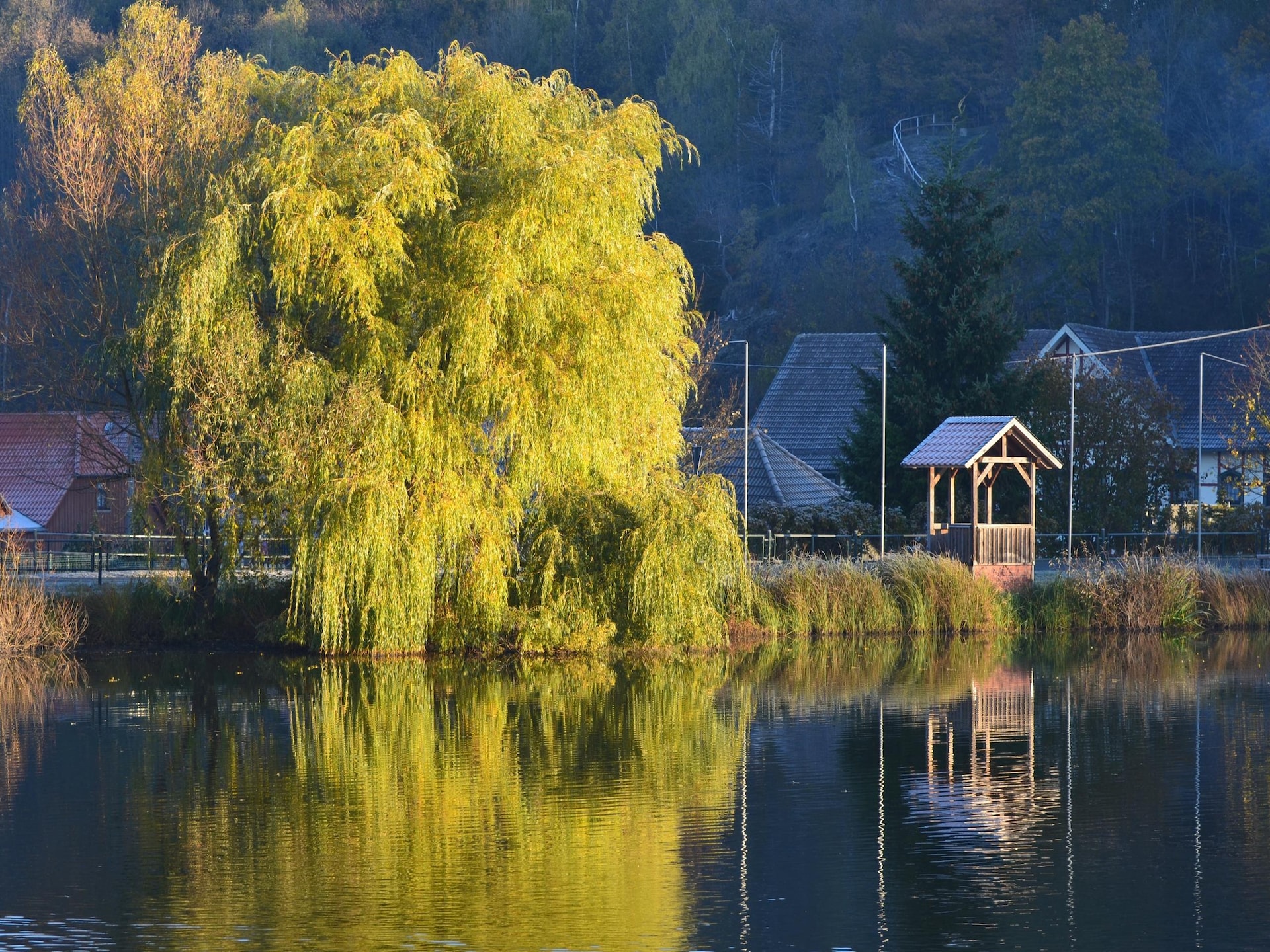 Aan de piste: Gezellig vakantiehuis voor 5 personen in Hasselfelde - foto 31