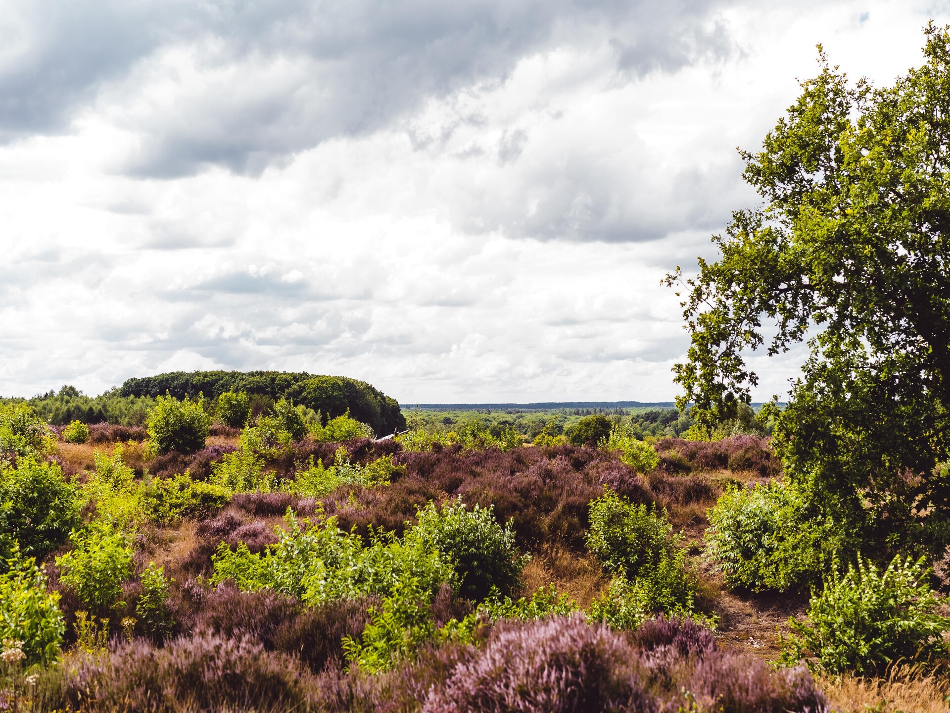 Vrijstaande bungalow op zonnig Veluws vakantiepark voor 6 personen - foto 25