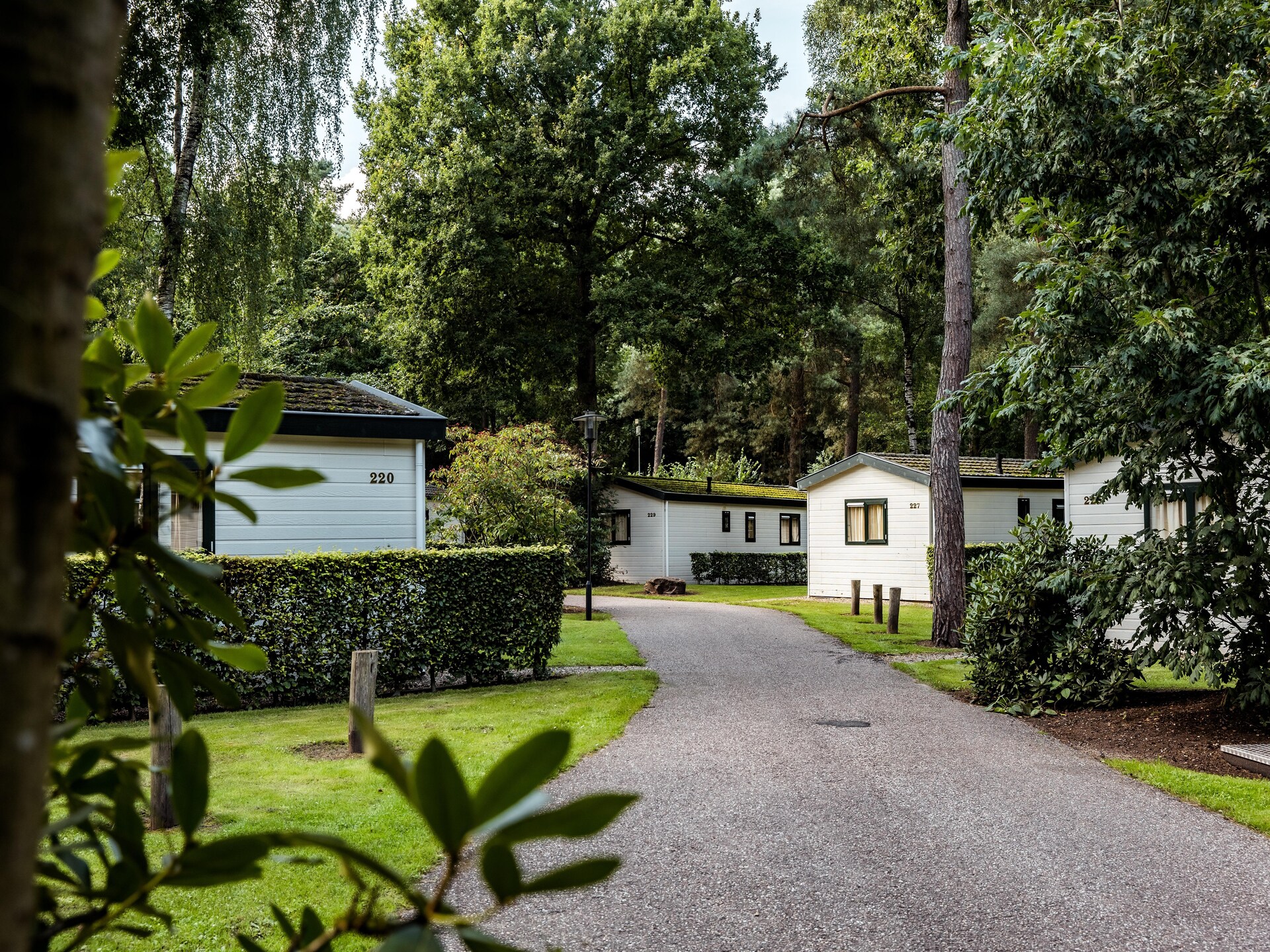 Vrijstaande bungalow op zonnig Veluws vakantiepark voor 6 personen - foto 17