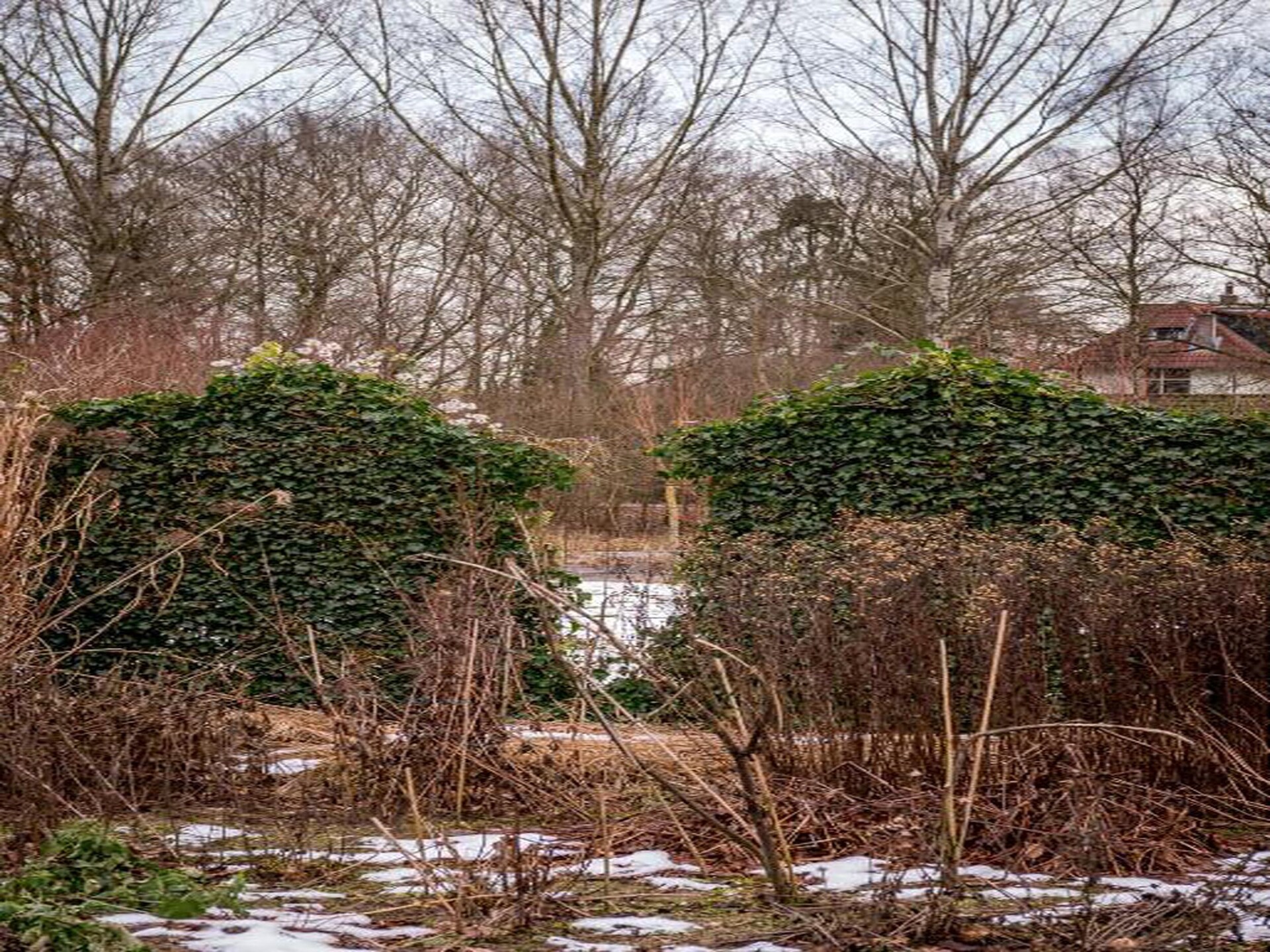 Vrijstaande bungalow op zonnig Veluws vakantiepark voor 6 personen - foto 39