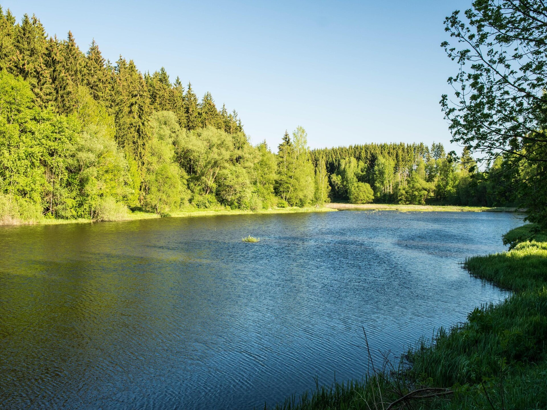 Haus 2 Blauvogel: Gezellig vakantiehuis in het hart van de Harz - foto 20