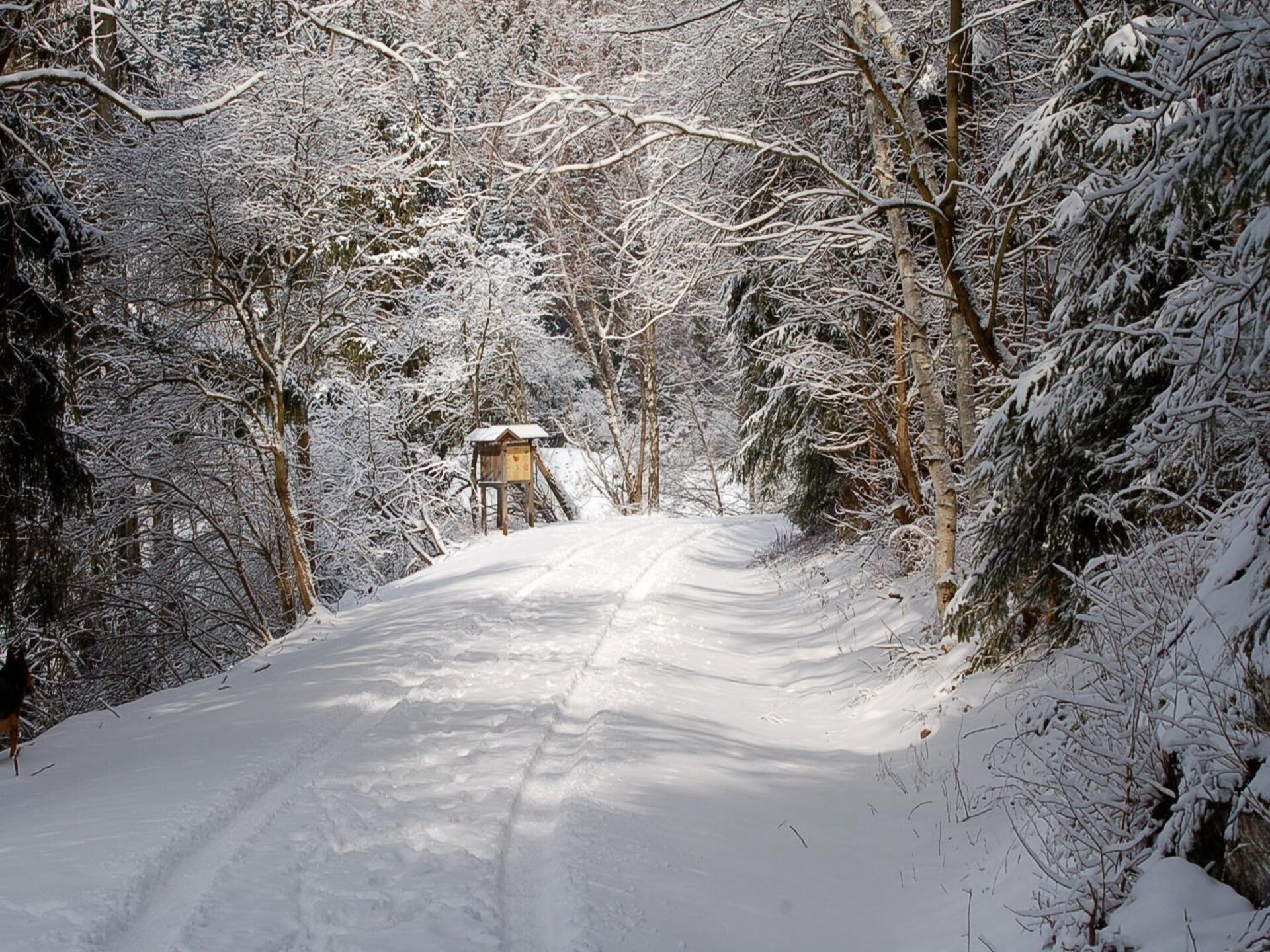 4-persoons vakantiehuis aan de piste in Hasselfelde (4) - foto 31