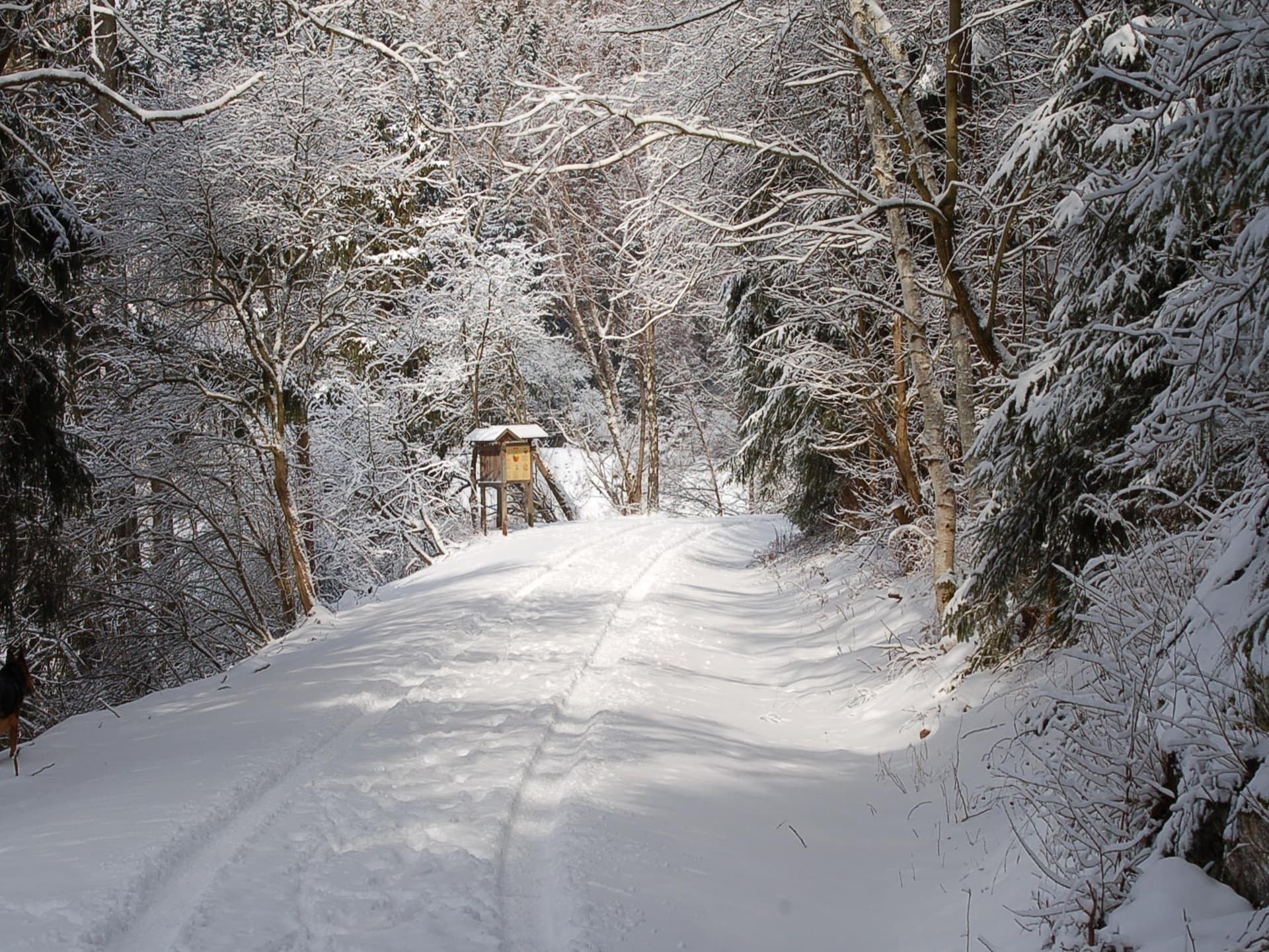 4-persoons vakantiehuis aan de piste in Hasselfelde · 2 slk - foto 16