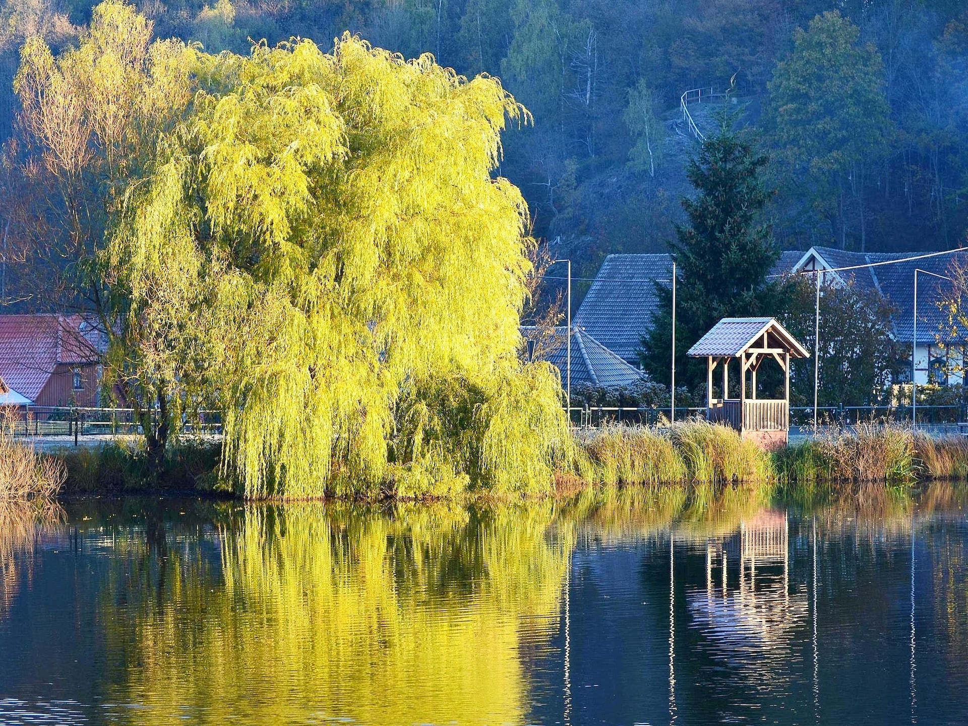 Op 500 m van de piste: Knus vakantiehuis voor 5 personen in Hasselfelde - foto 18