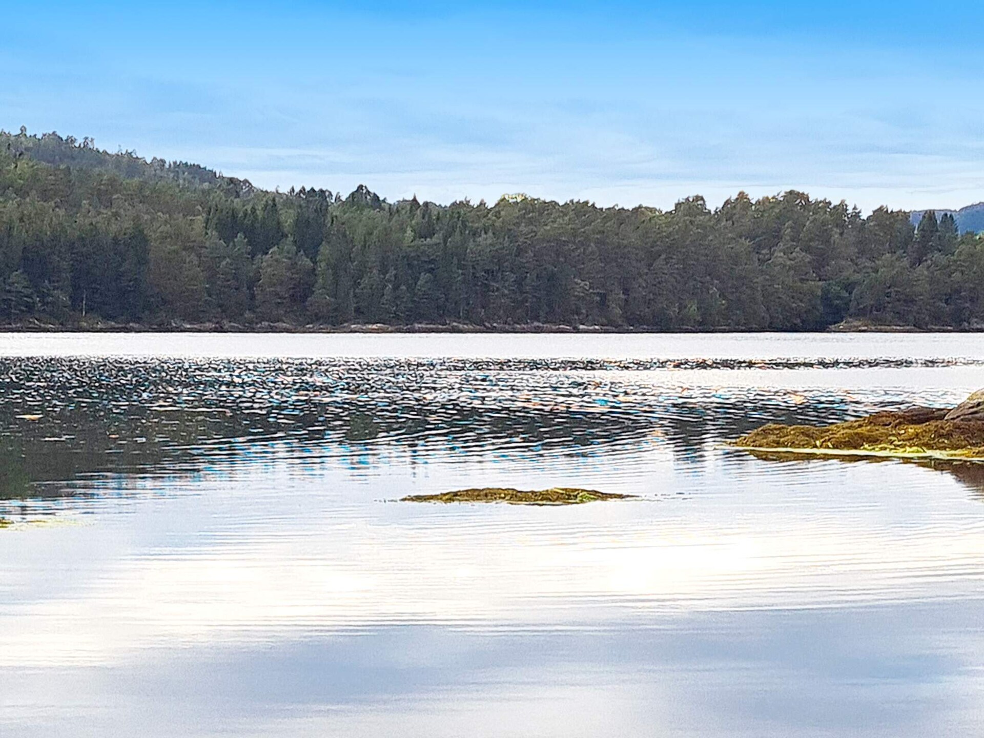 Vrijstaand vakantiehuis aan het water op Osterøy met uitzicht over Lonevågen - foto 12