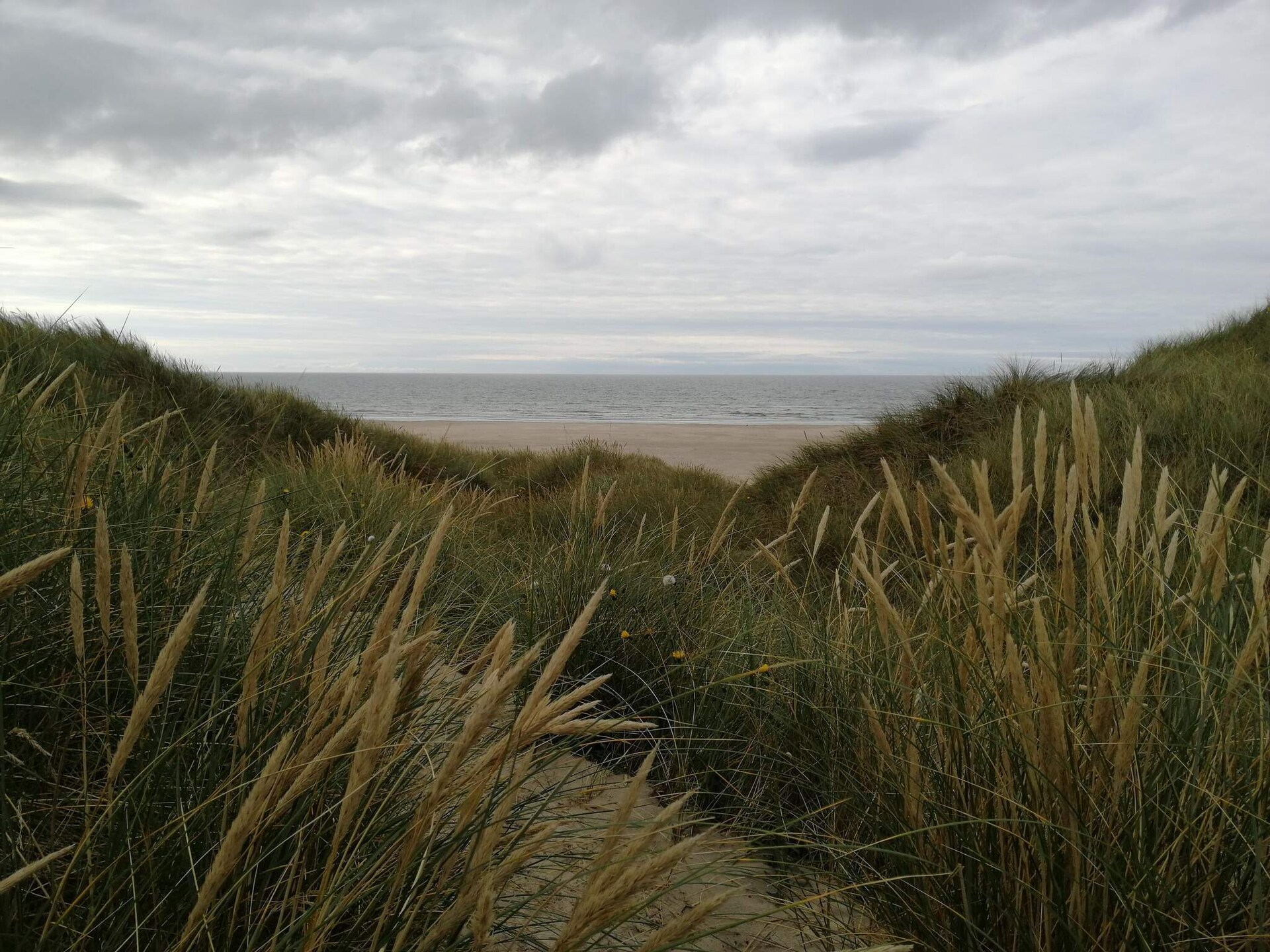 Licht vakantiehuis bij de duinen en het strand van Rødhus - foto 12