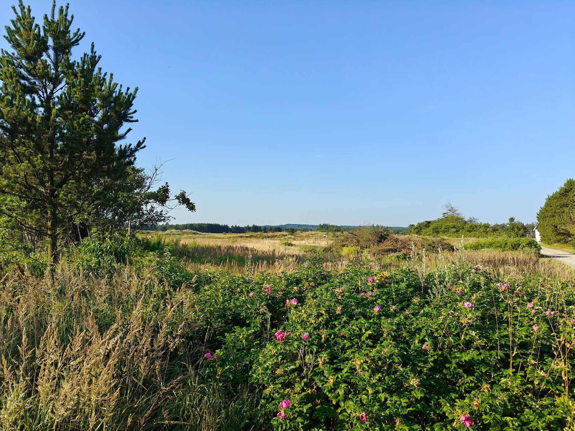 Licht vakantiehuis bij de duinen en het strand van Rødhus - foto 15