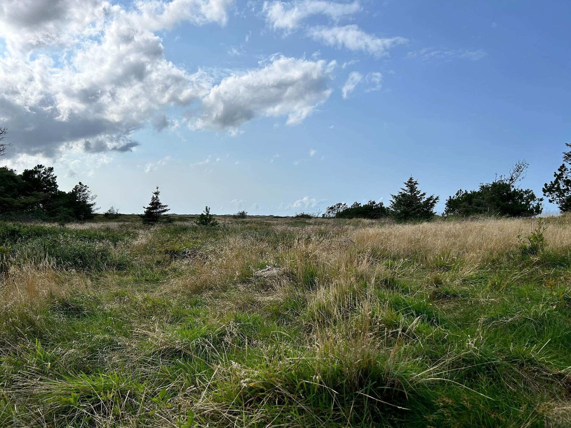 Licht vakantiehuis bij de duinen en het strand van Rødhus - foto 16