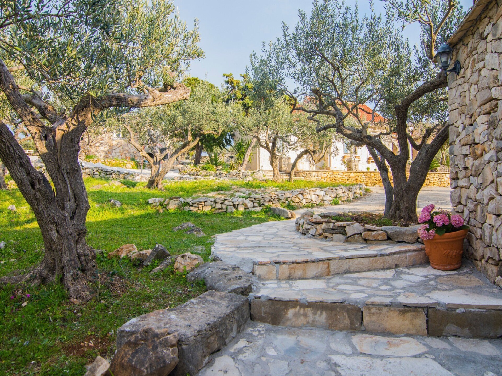 Villa Roza: knusse villa met privézwembad op 800m van zee in Splitska, Brač - foto 16