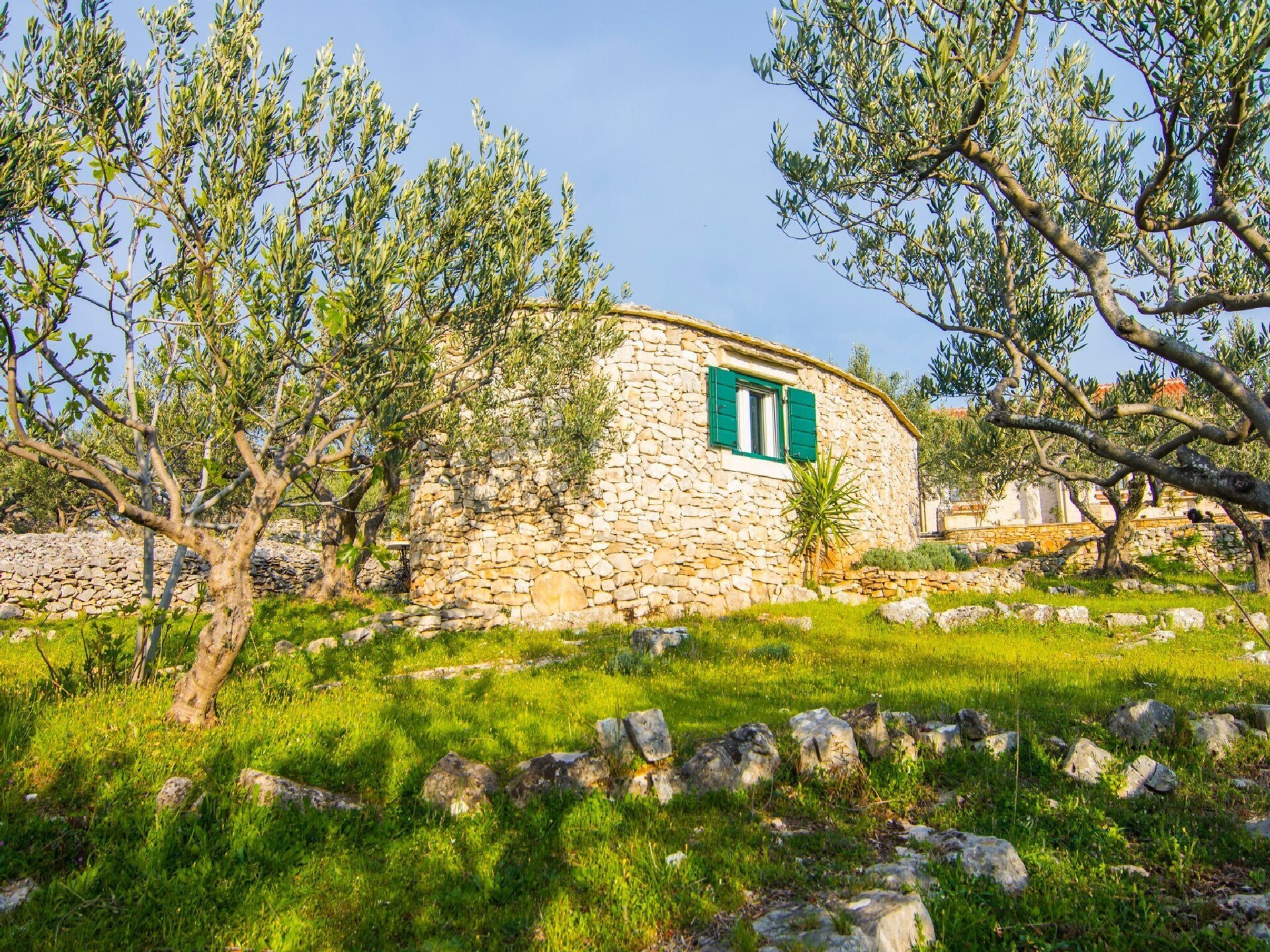 Villa Roza: knusse villa met privézwembad op 800m van zee in Splitska, Brač - foto 21