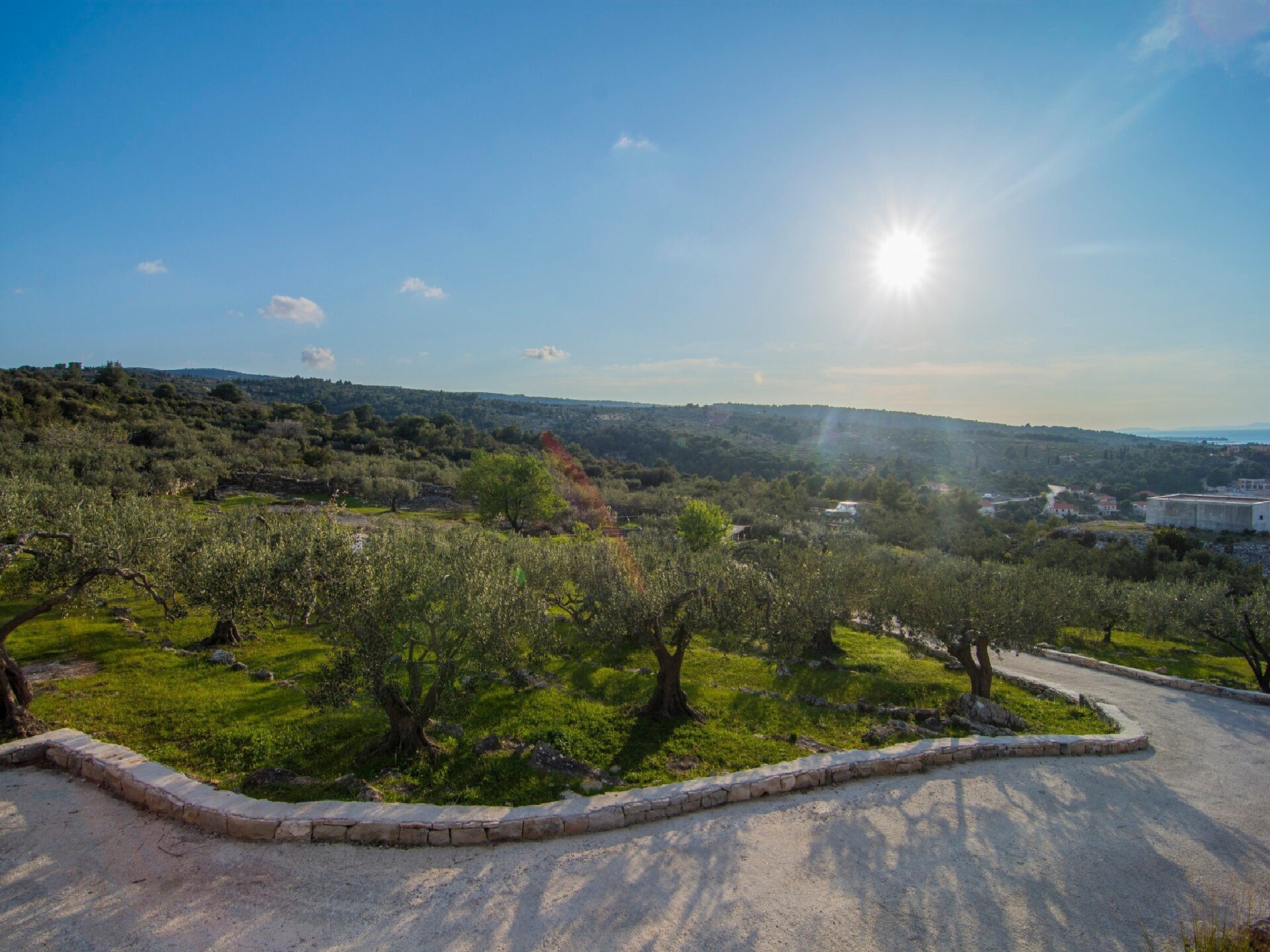 Villa Roza: knusse villa met privézwembad op 800m van zee in Splitska, Brač - foto 23