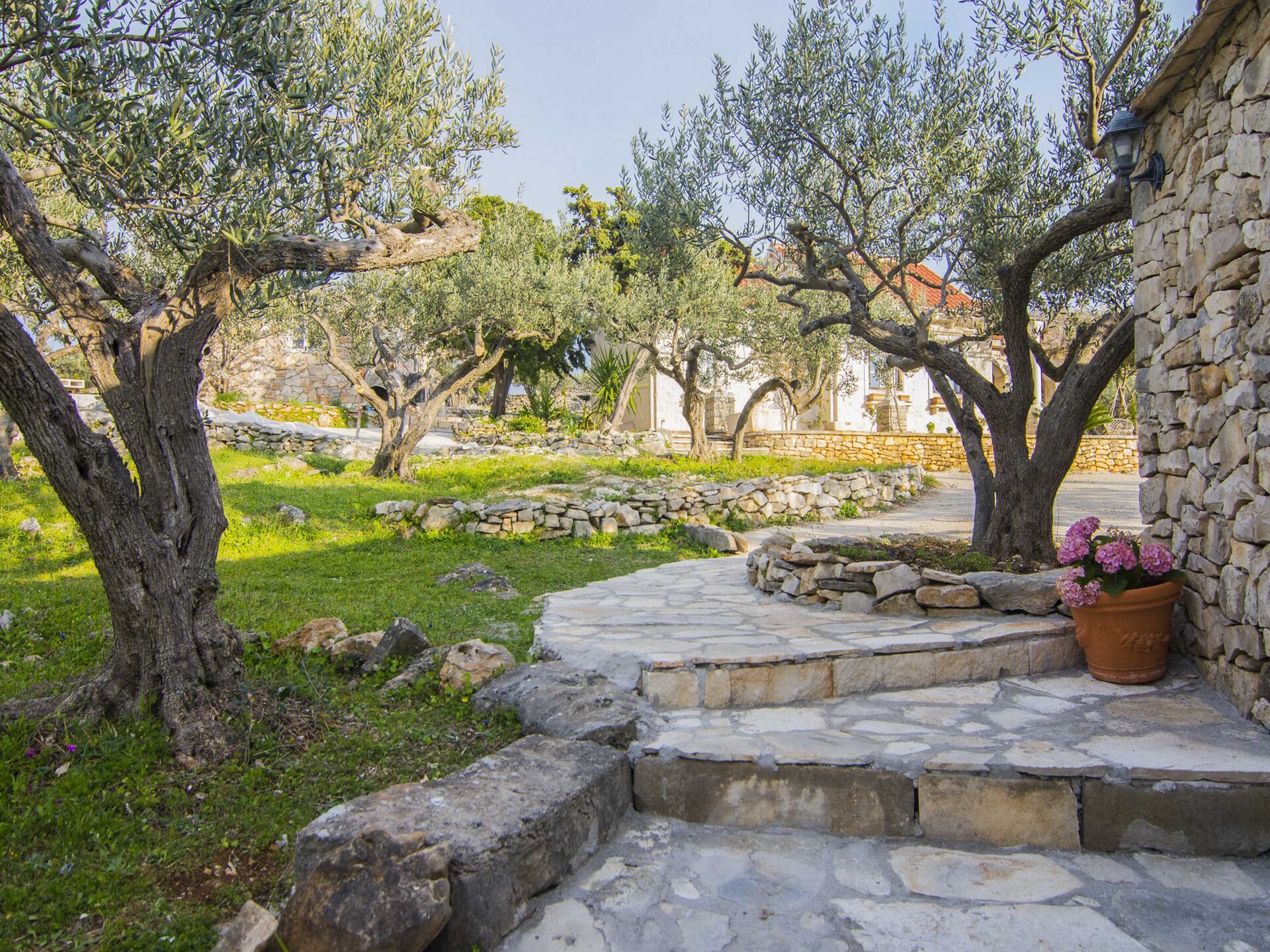 Villa Roza: knusse villa met privézwembad op 800m van zee in Splitska, Brač - foto 38
