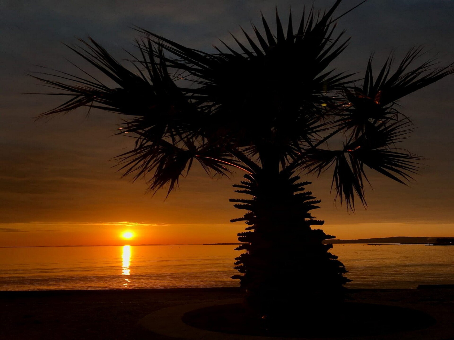 Zonnig appartement op 200 meter van het strand met terras en BBQ - foto 8