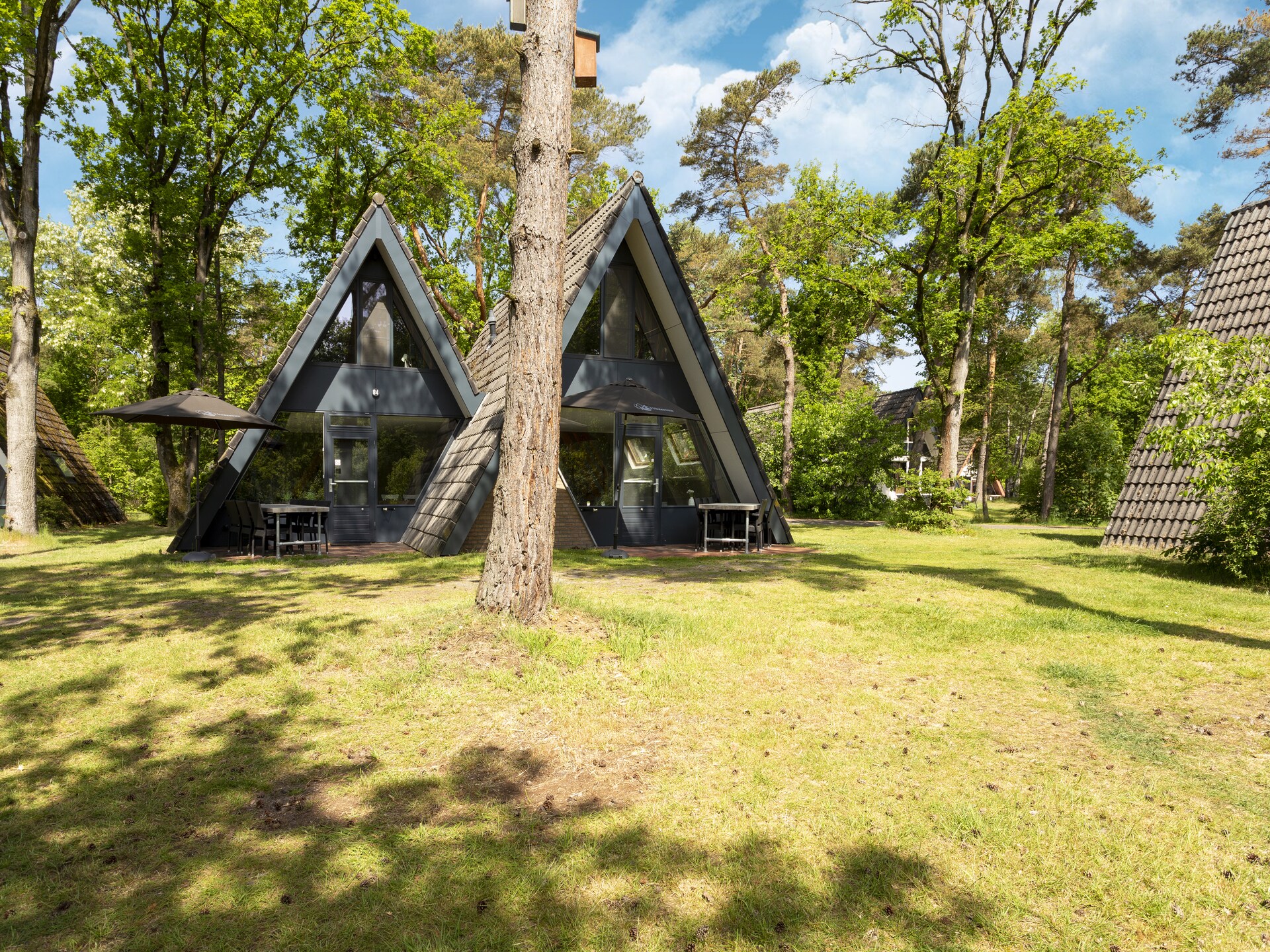 Combi bungalow Vosseven 84 & 85: ruim vakantiehuis voor 12 personen in bosrijk Limburg - foto 5