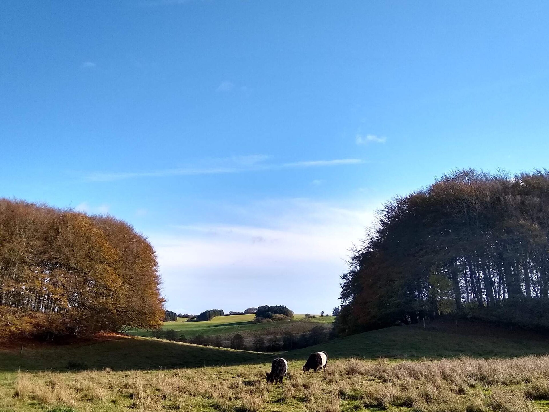 Gerenoveerd landhuis aan de golfbaan bij Østervrå, 4 personen - foto 6
