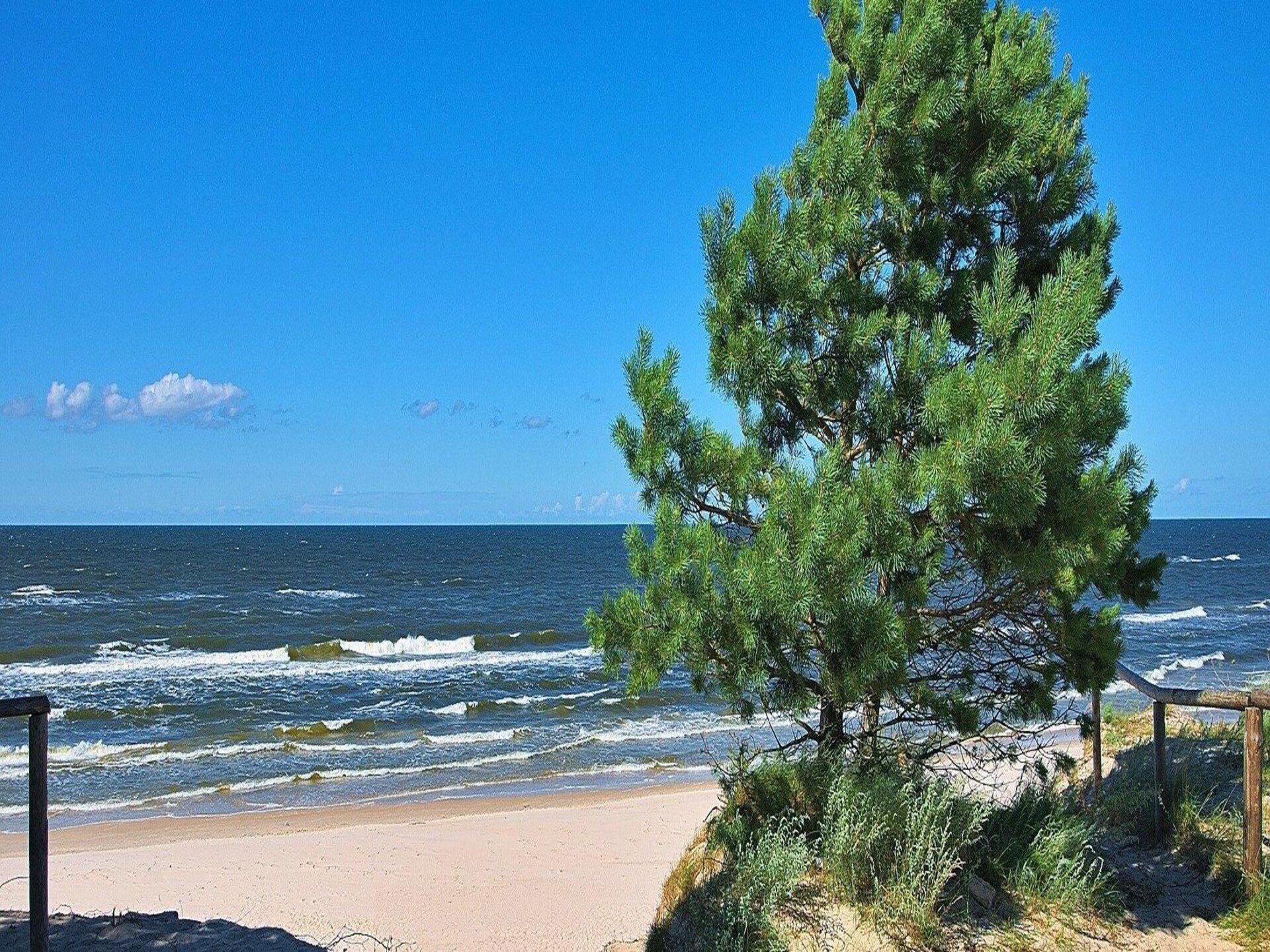 Rustiek vakantiehuis bij het bos, op 700m van het strand van Ustka - foto 39