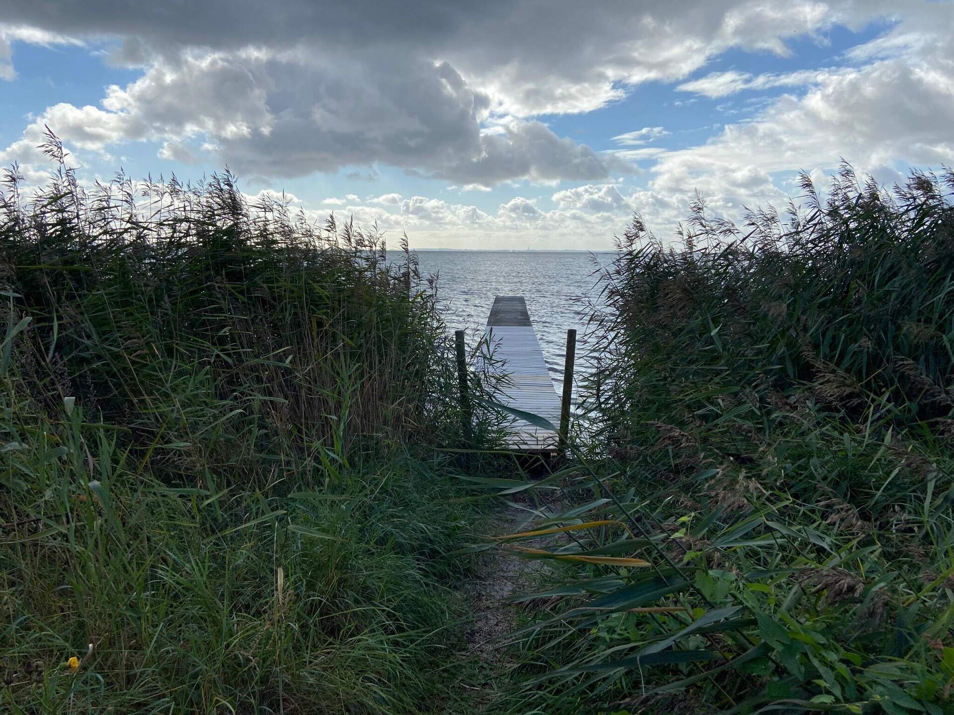 Vrijstaand vakantiehuis bij Rørvig met grote tuin, vlakbij de zee - foto 5