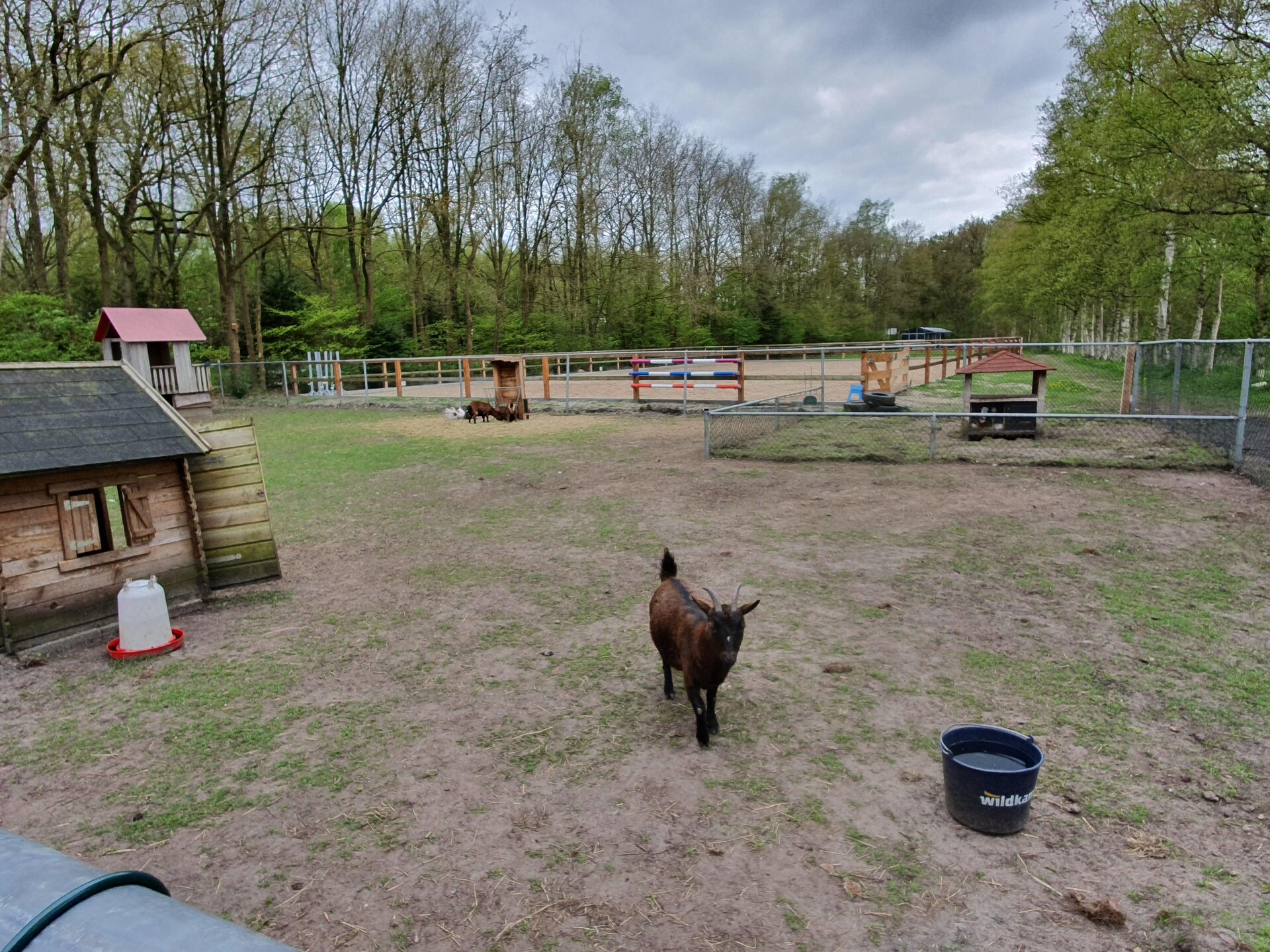 Veldlodge Elperhof: rustig genieten in het Drentse landschap - foto 18