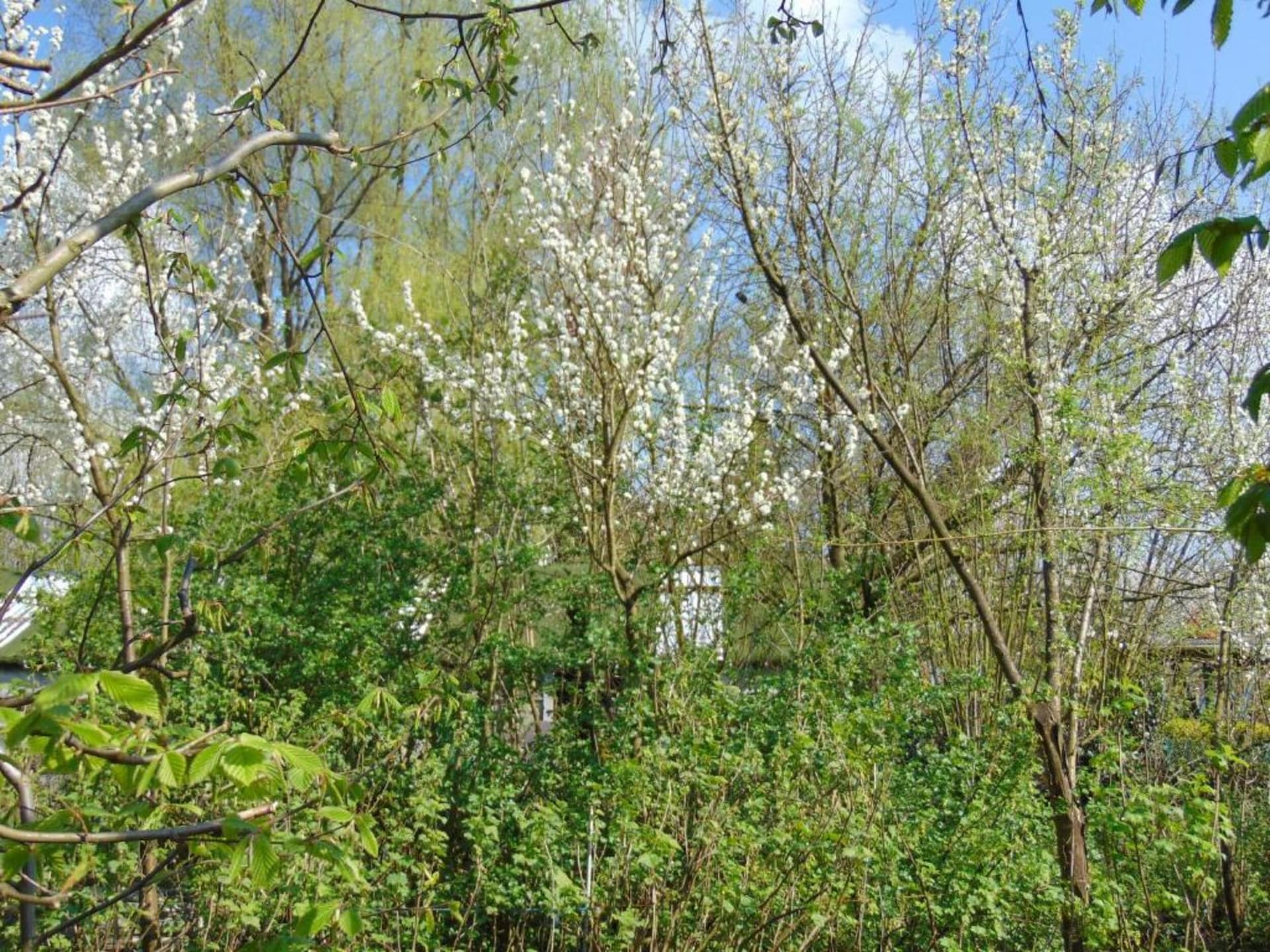 Aan het meer: knus 4-persoons chalet in Rijkevorsel - foto 40