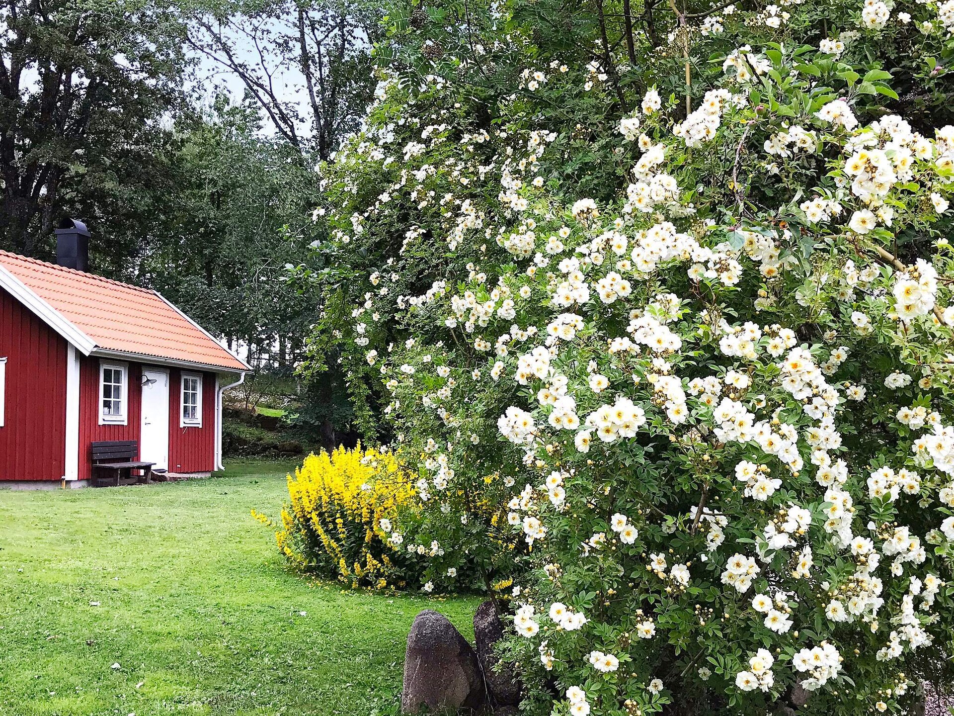 Pittoresk Zweeds vakantiehuisje met uitzicht op het Hornborgameer - foto 1