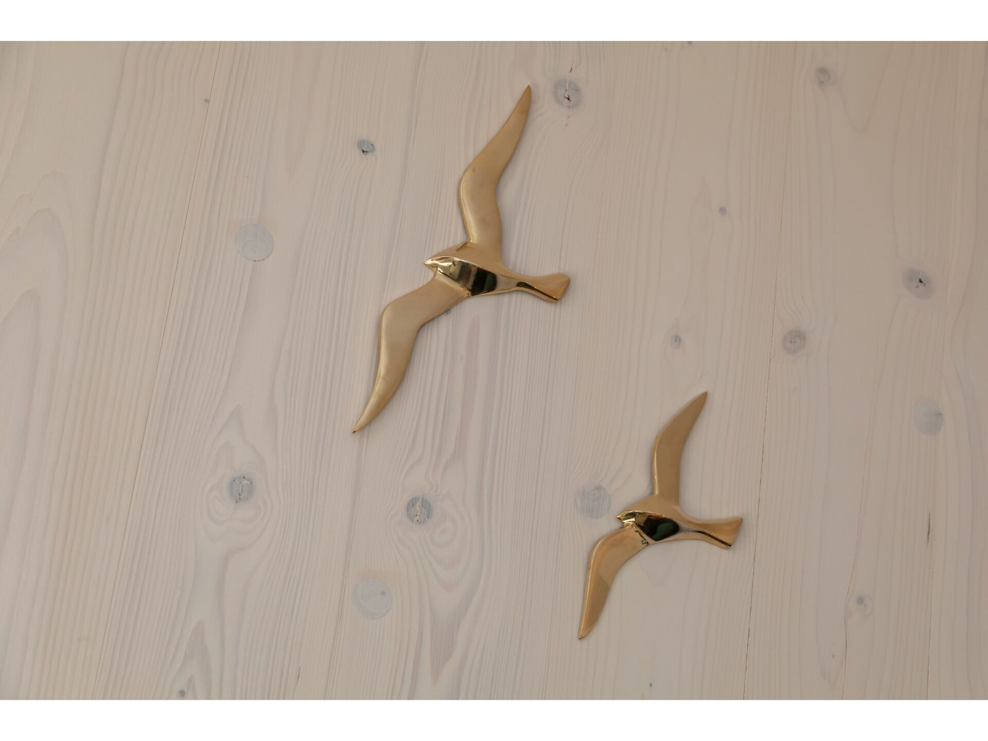 Tinyhouse La Mouette: minimalistisch genieten tussen bos en duinen in Zoutelande - foto 39