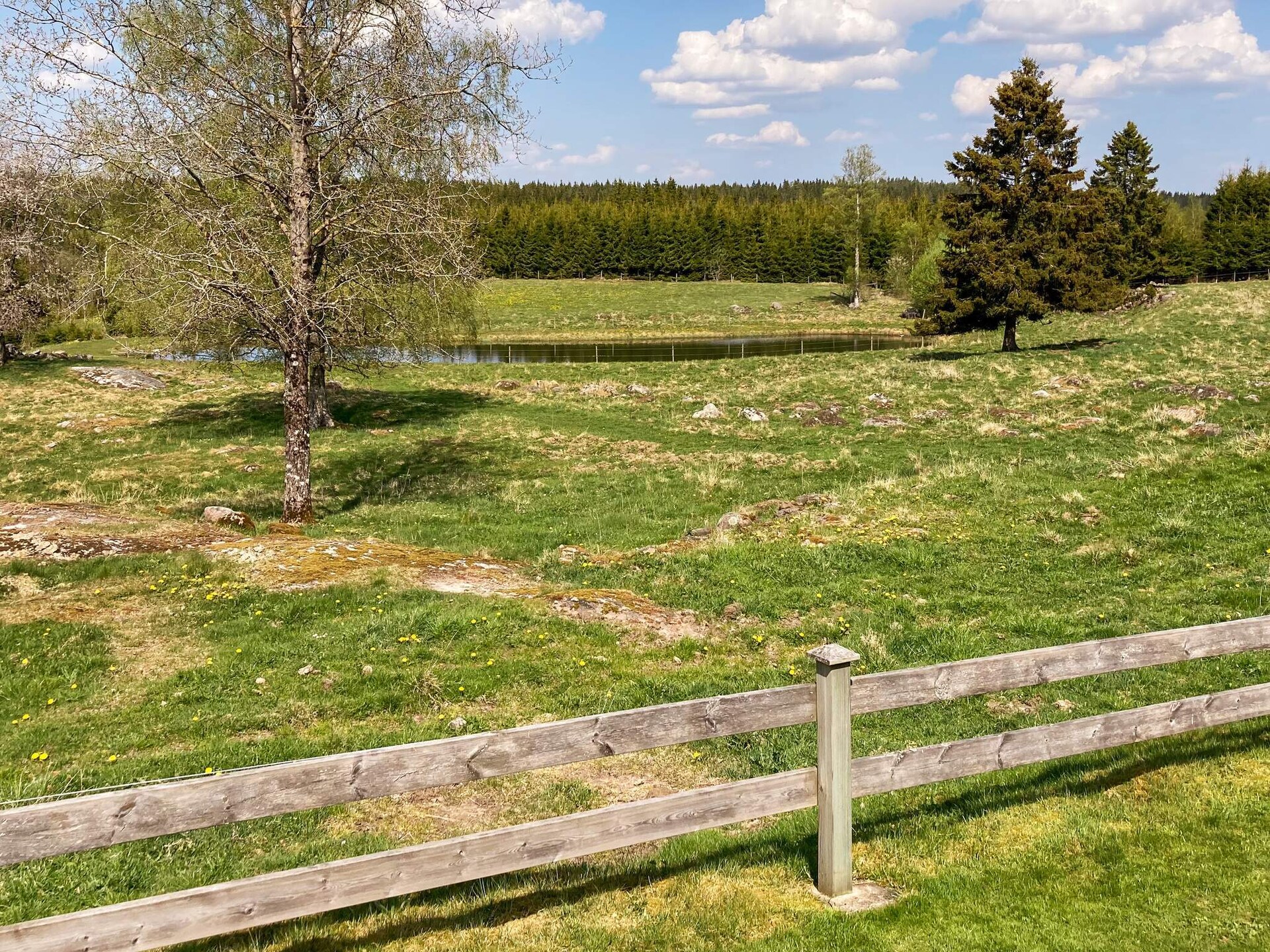 Authentiek Zweeds vakantiehuis aan privé vijver bij Ulricehamn - foto 26