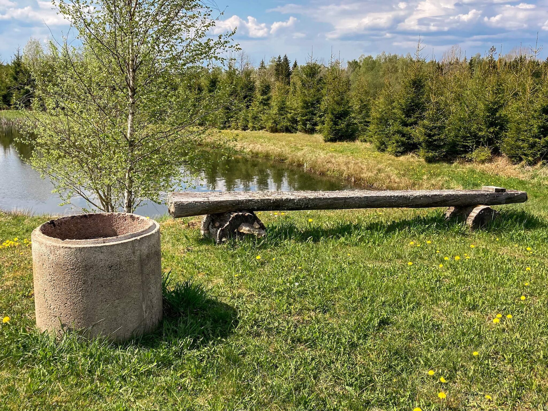 Authentiek Zweeds vakantiehuis aan privé vijver bij Ulricehamn - foto 27