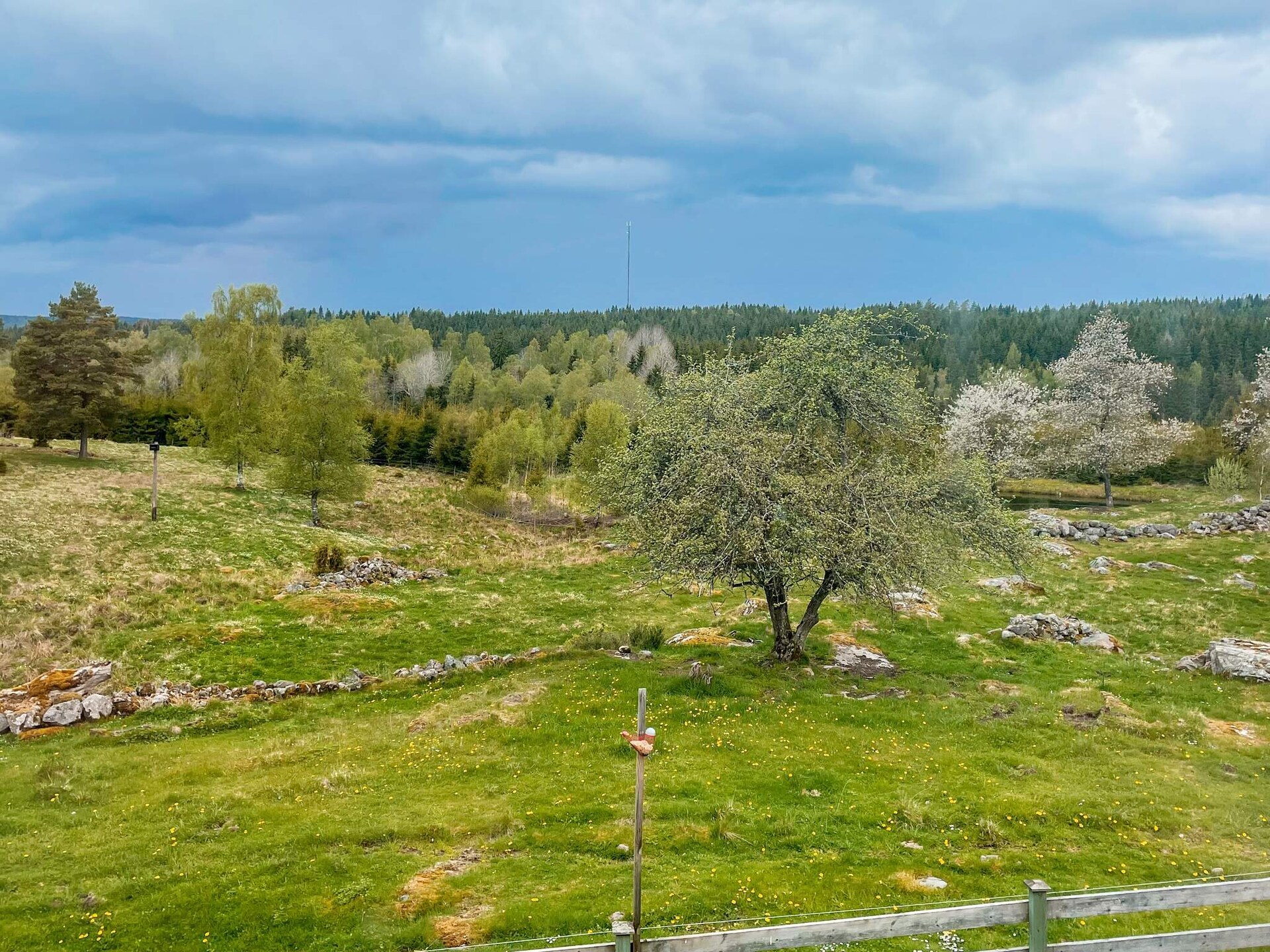 Authentiek Zweeds vakantiehuis aan privé vijver bij Ulricehamn - foto 28