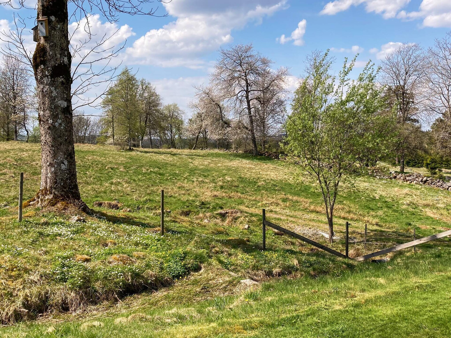 Authentiek Zweeds vakantiehuis aan privé vijver bij Ulricehamn - foto 32