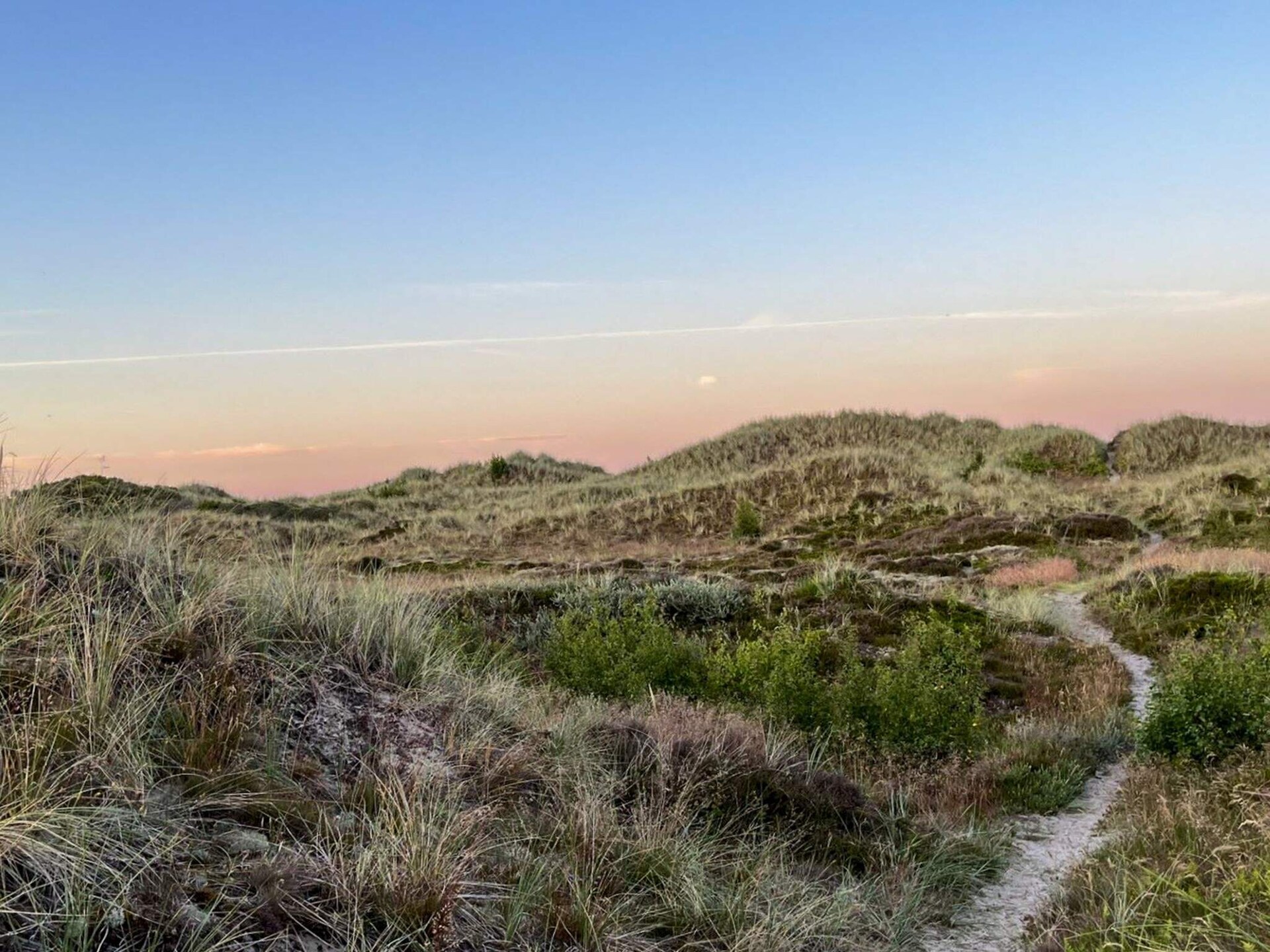 Aan zee: Rustgevend vakantiehuis voor 6 personen in Ålbæk - foto 13