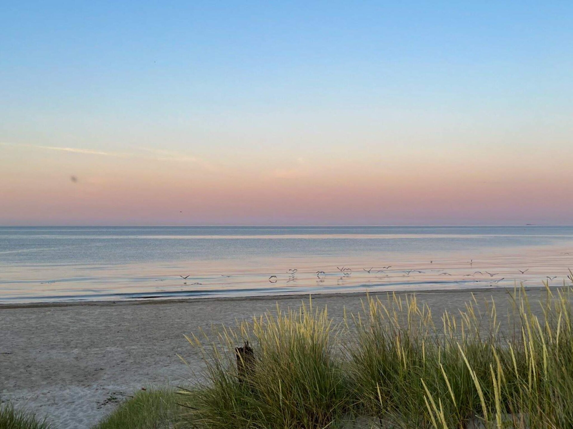 Aan zee: Rustgevend vakantiehuis voor 6 personen in Ålbæk - foto 14